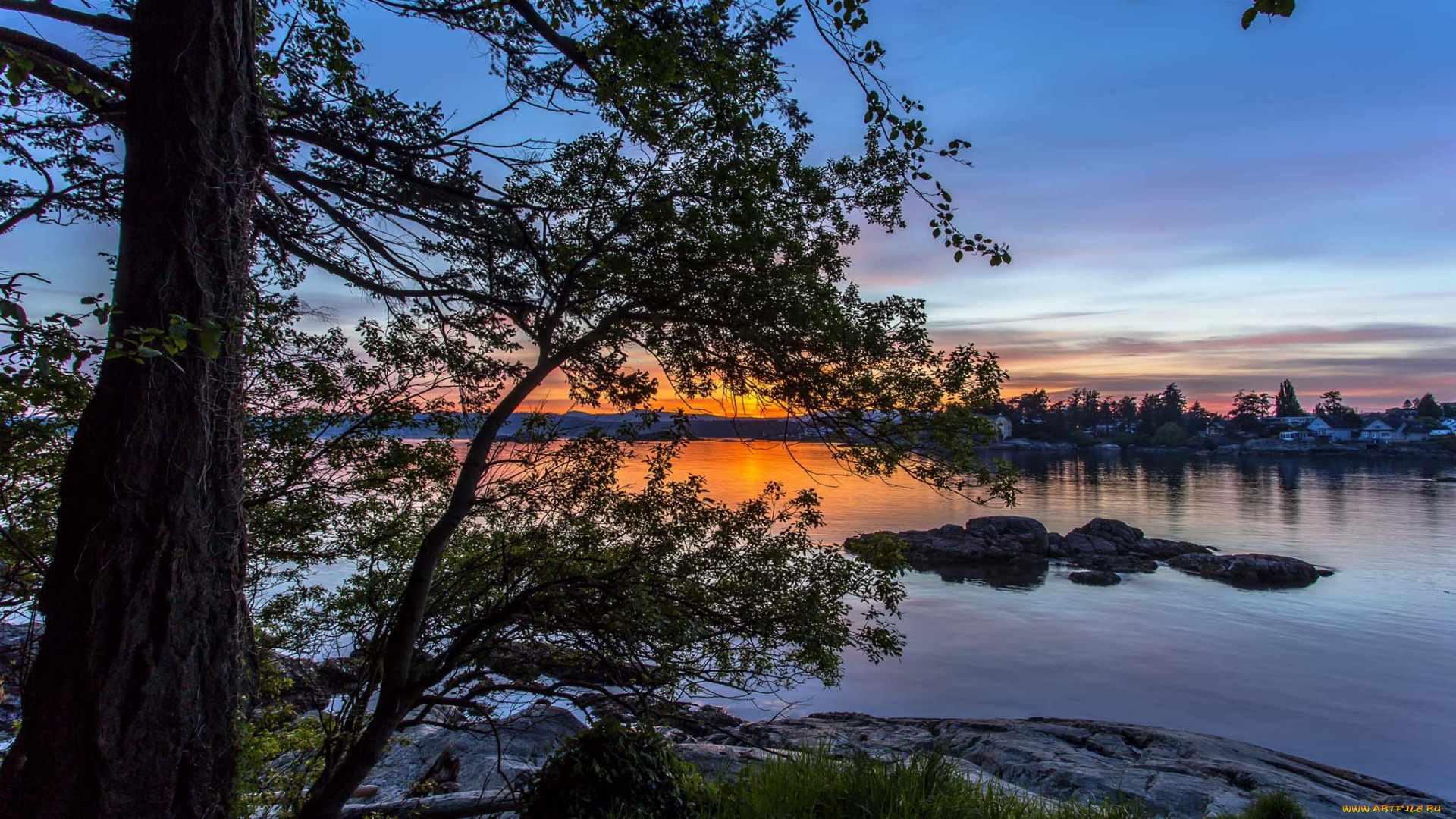 природа, реки, озера, река, лес