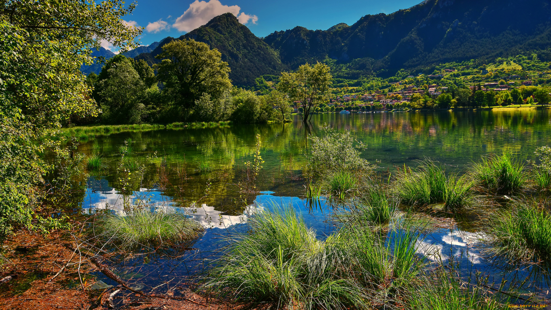 природа, реки, озера, река, лес