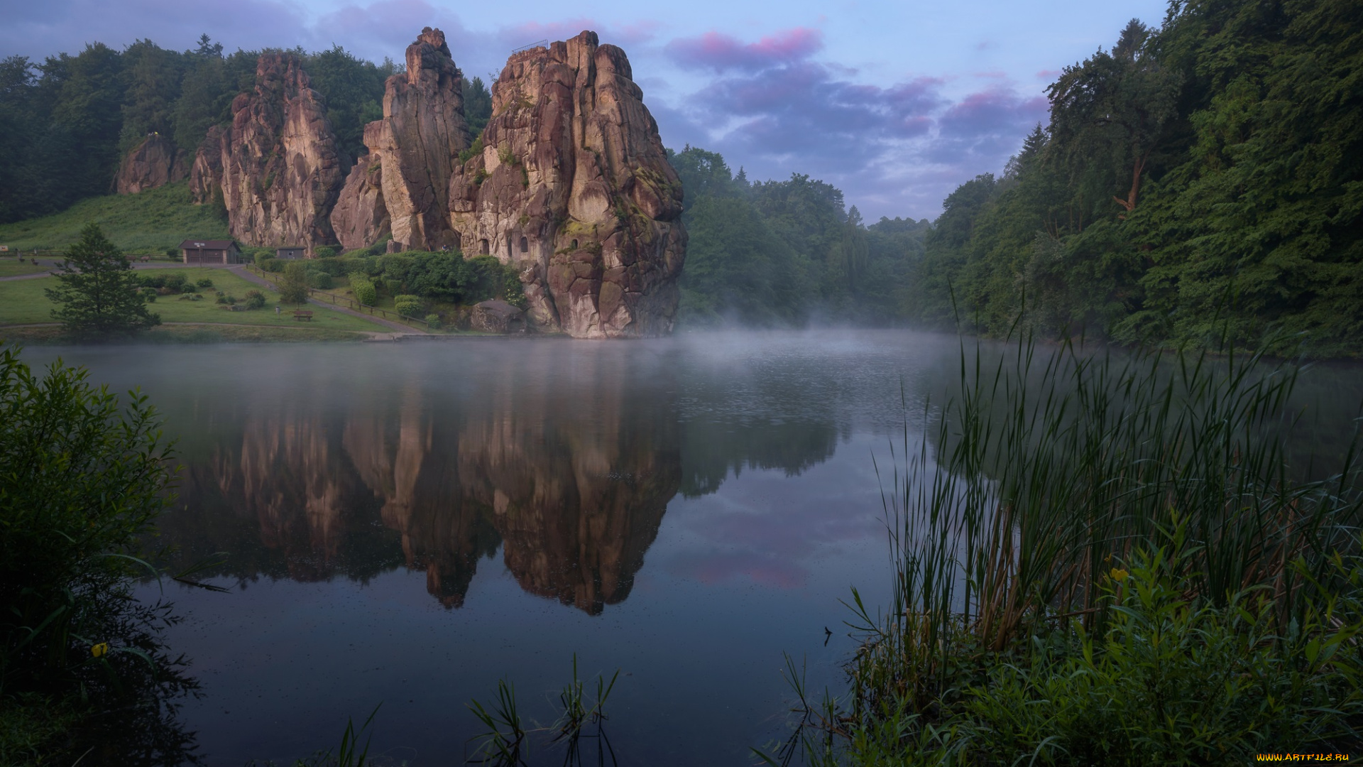 природа, реки, озера, река, лес