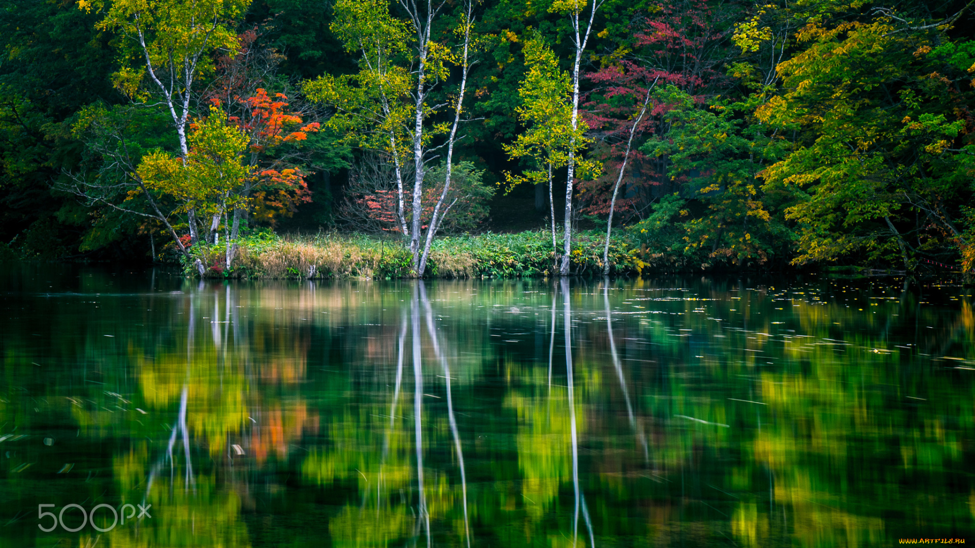 природа, реки, озера, река, вода, деревья, озеро