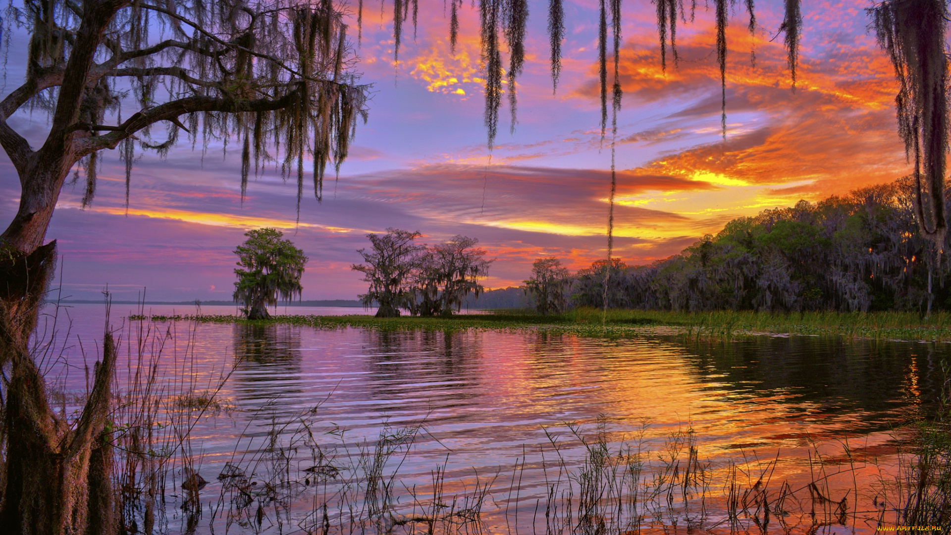 природа, восходы, закаты, закат