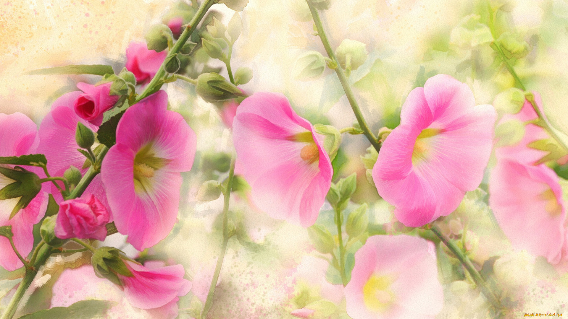 рисованное, цветы, имитация, акварели, нарисованные, картина, живопись, рисованные, нежно, мазки, розовые, цифровая, мальвы