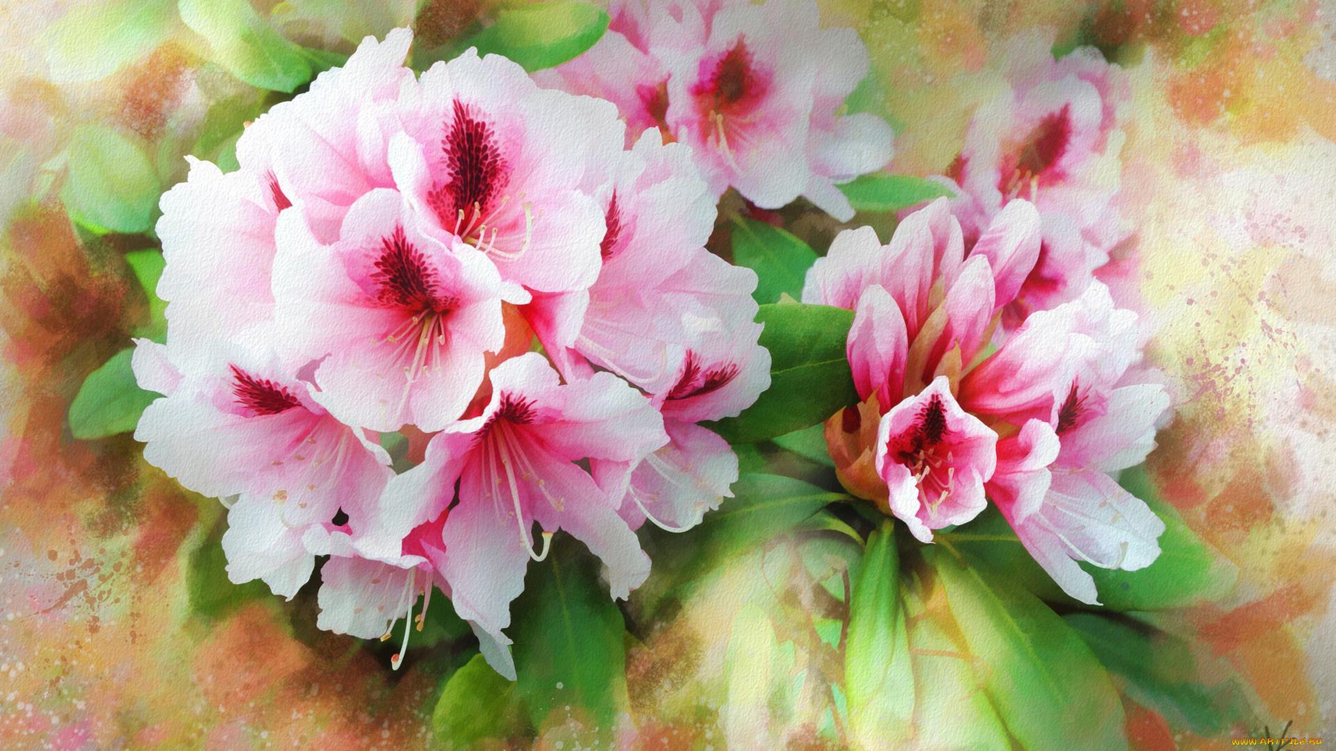 рисованное, цветы, к, рисунок, нарисованные, имитация, акварели, цифровая, картина, букет, рисованные, живопись, мазки, розовая, лепестки, ярко