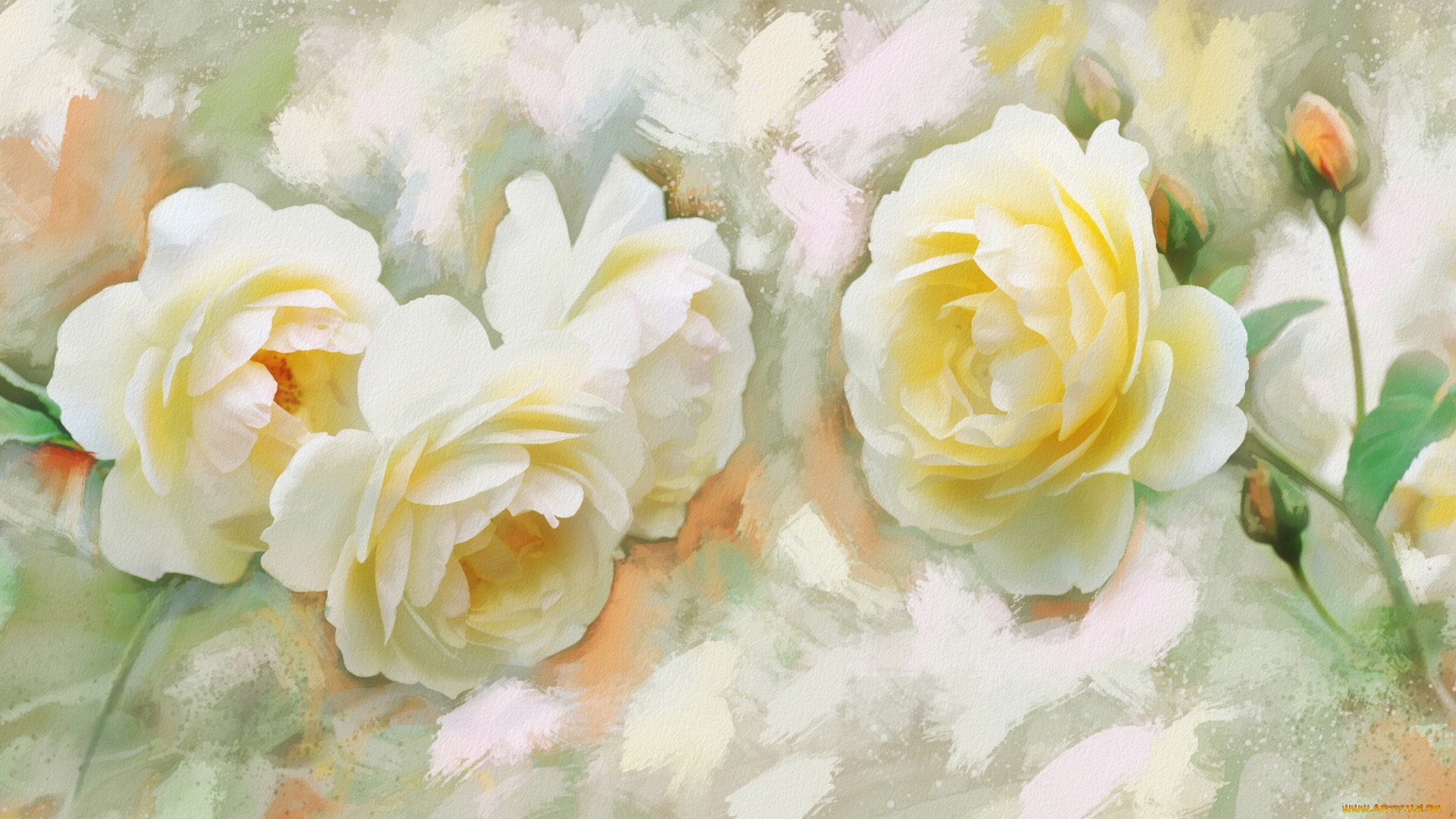 рисованное, цветы, рисунок, цифровая, белые, розы, имитация, акварели, нарисованные, бутоны, картина, нежно, рисованные, живопись, мазки
