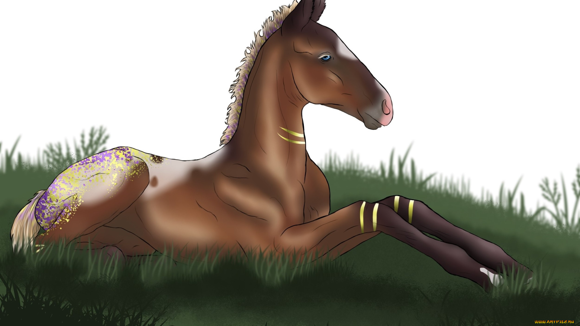 рисованное, животные, , лошади, фон, логотип