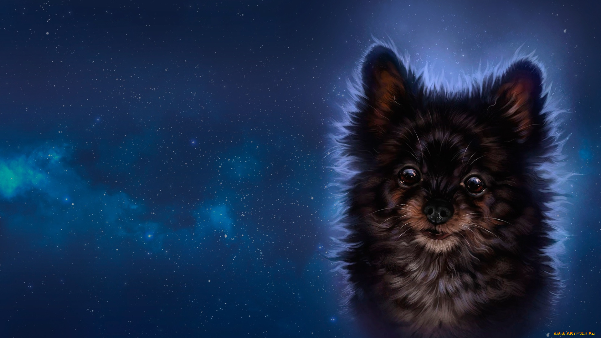 рисованное, животные, , собаки, арт, звёзды, собачка, ночь