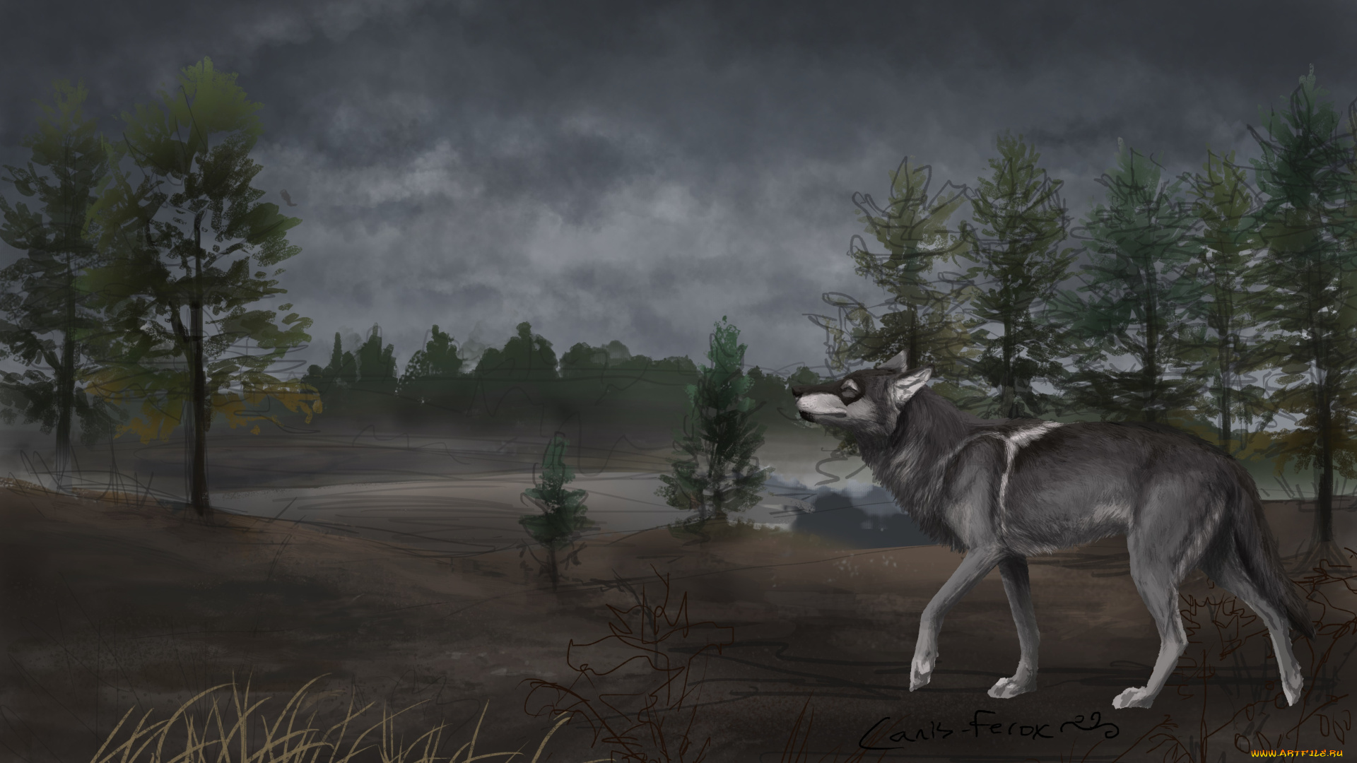 рисованное, животные, , волки, фон, волк