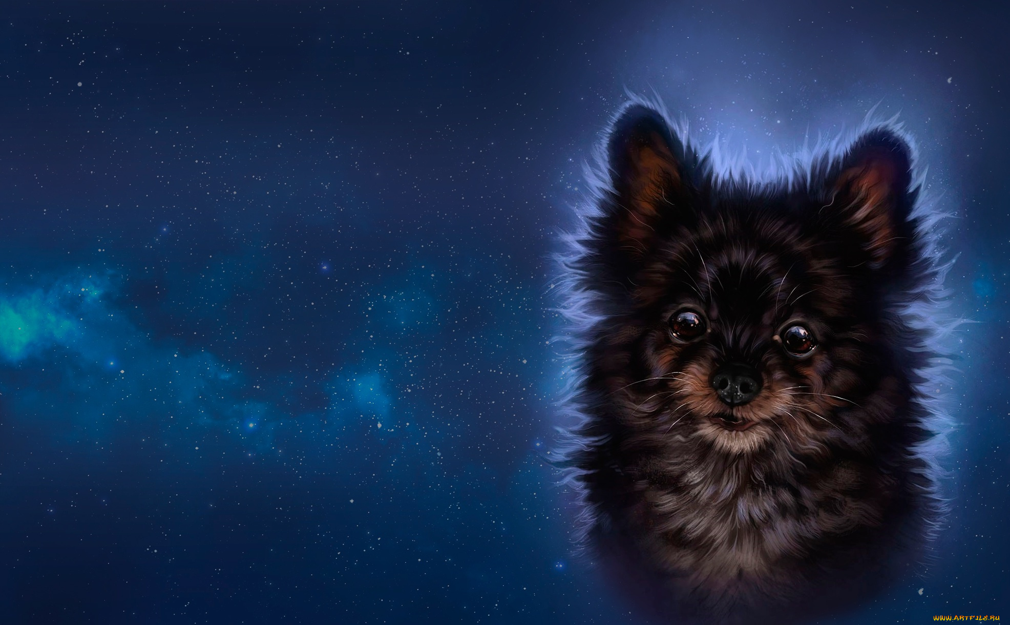 рисованное, животные, , собаки, арт, звёзды, собачка, ночь