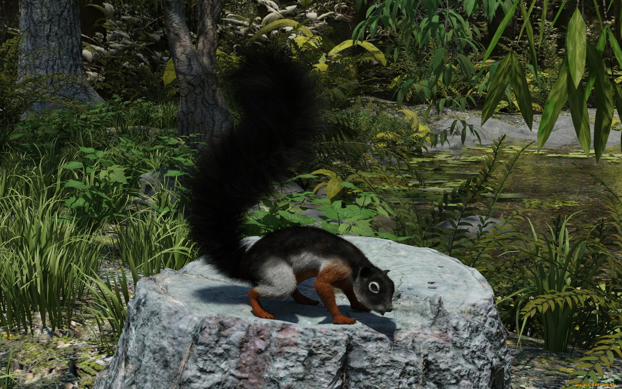 3д, графика, животные, , animals, белка