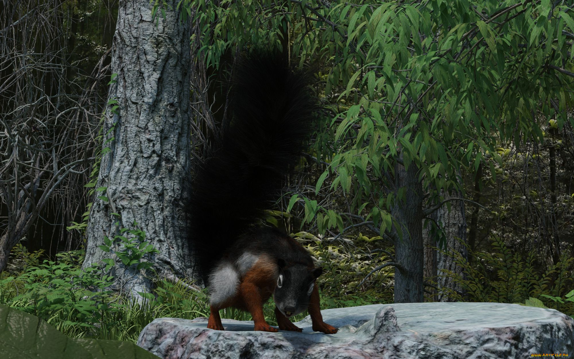 3д, графика, животные, , animals, белка