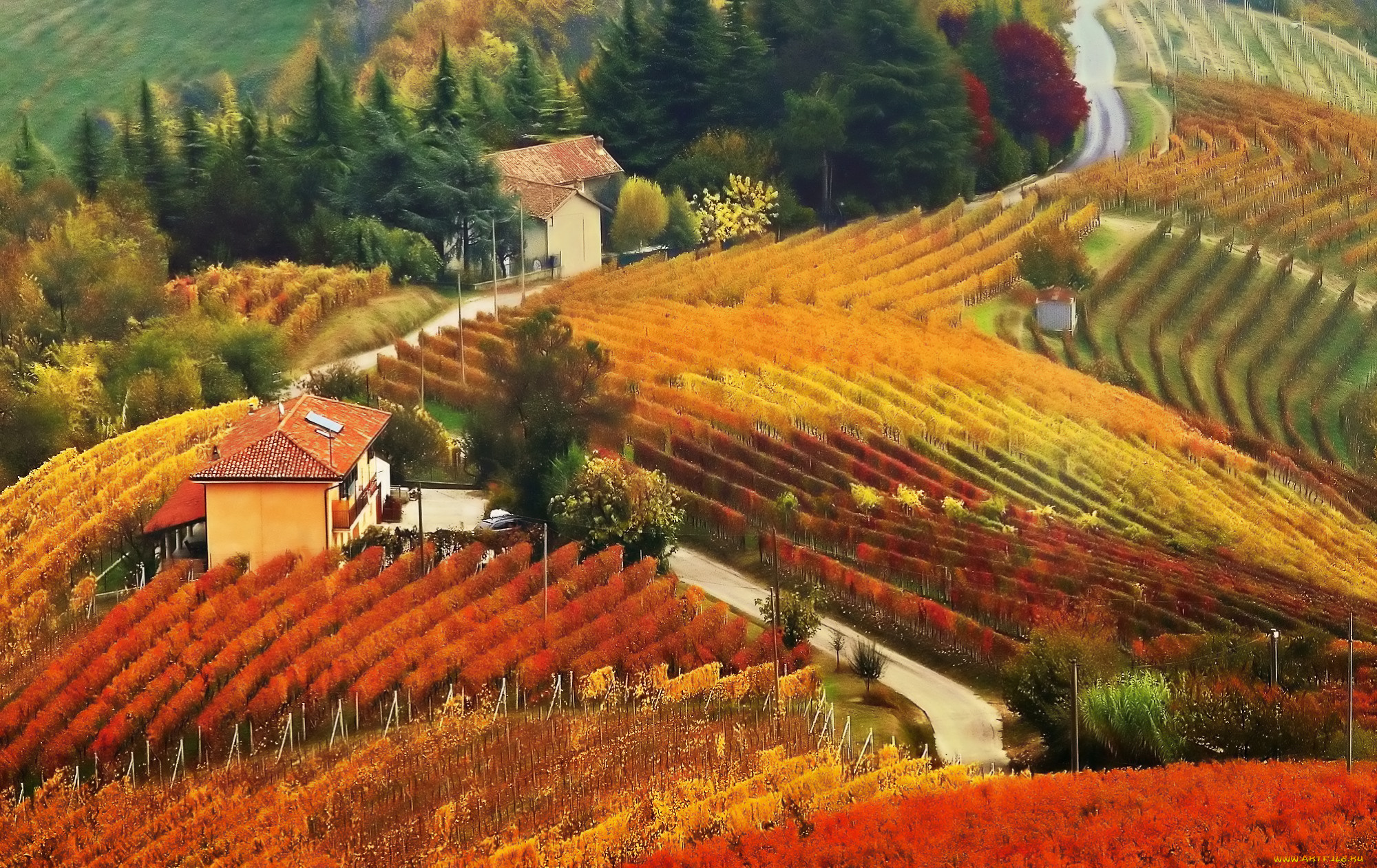 природа, поля, пейзаж