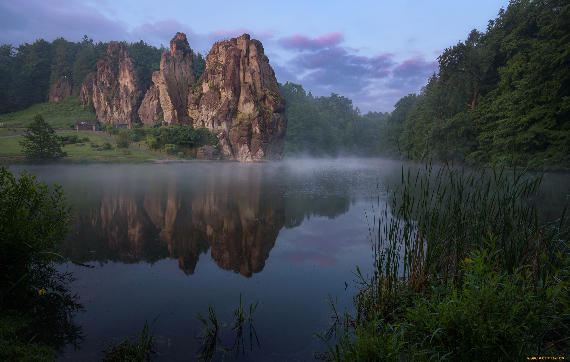 природа, реки, озера, река, лес