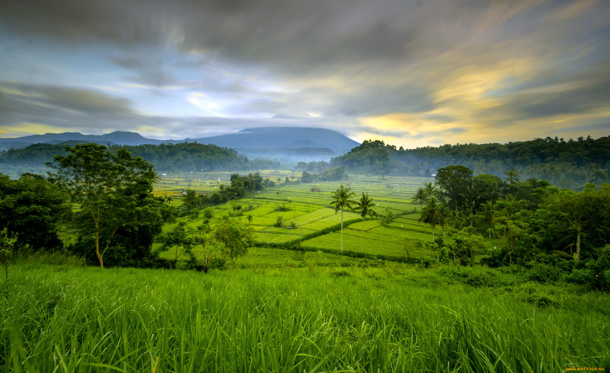 природа, пейзажи, простор