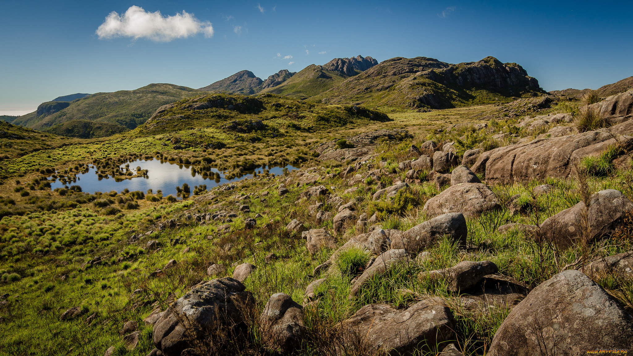 природа, пейзажи, простор