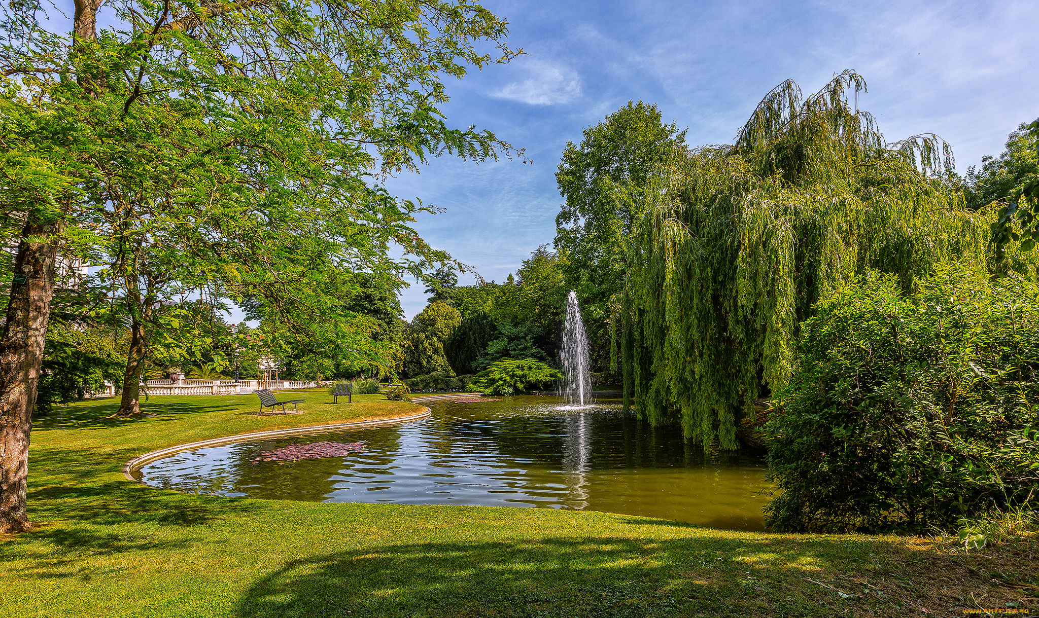 природа, парк, простор