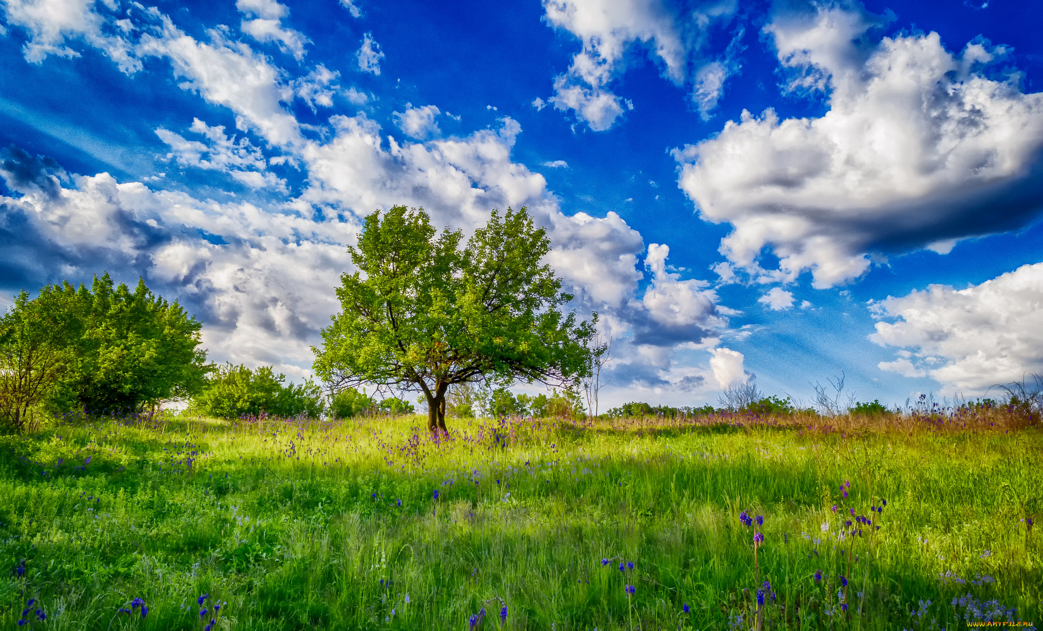 природа, пейзажи, простор
