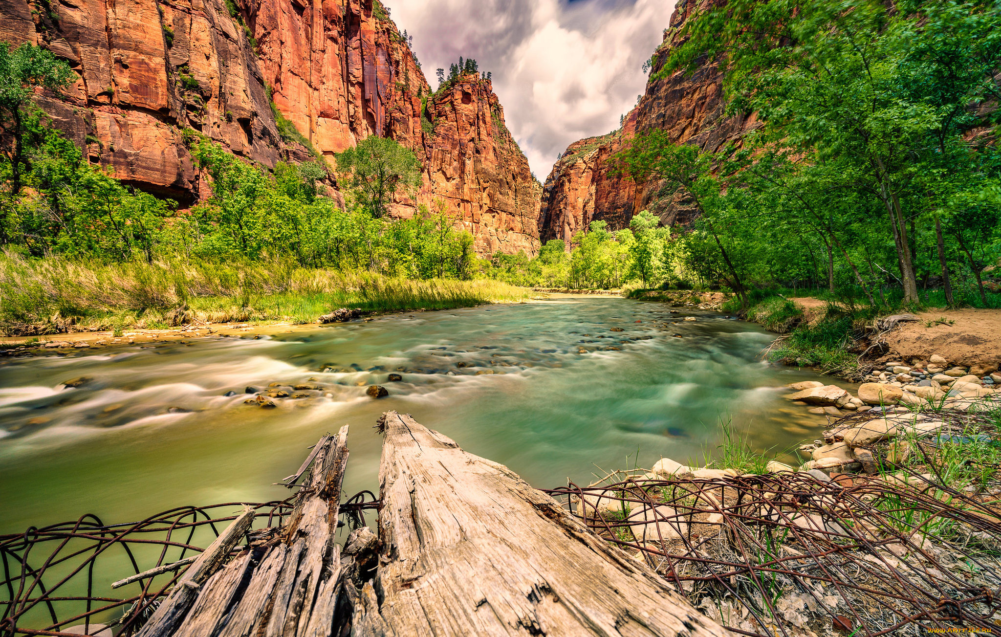 природа, реки, озера, лес, река