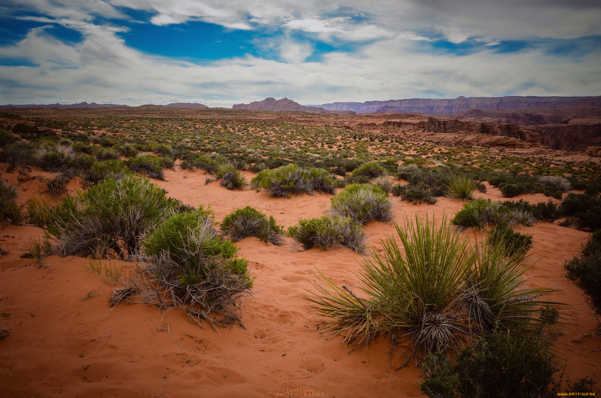 природа, пустыни, простор