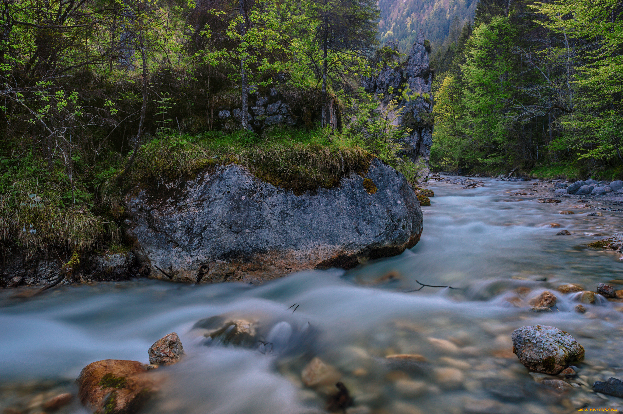 природа, реки, озера, река, лес