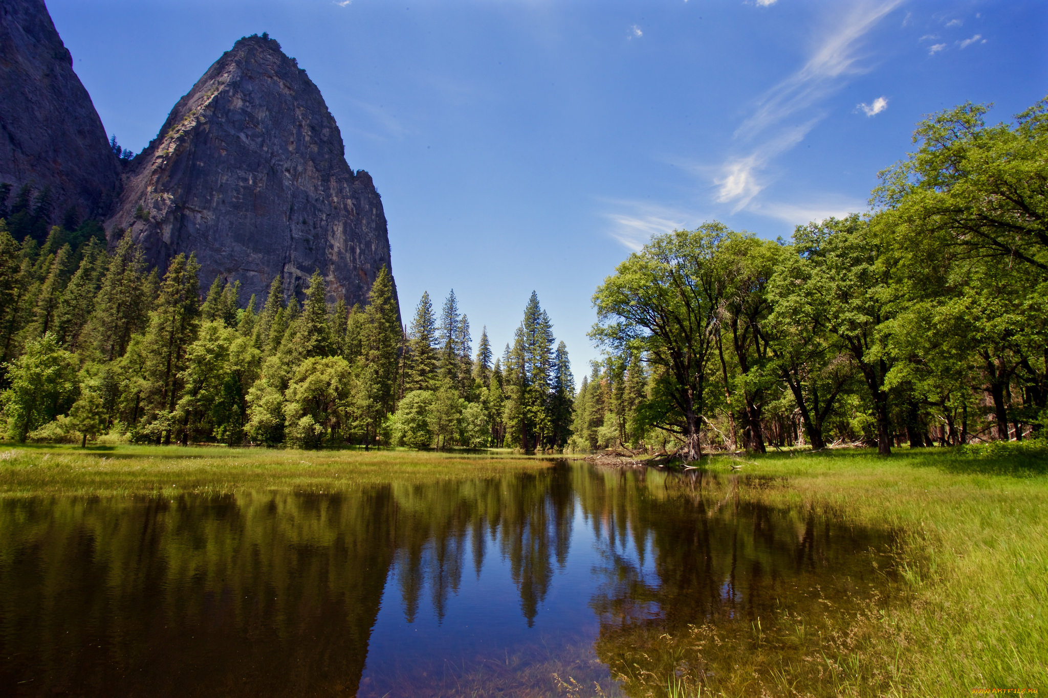 природа, реки, озера, лес, река