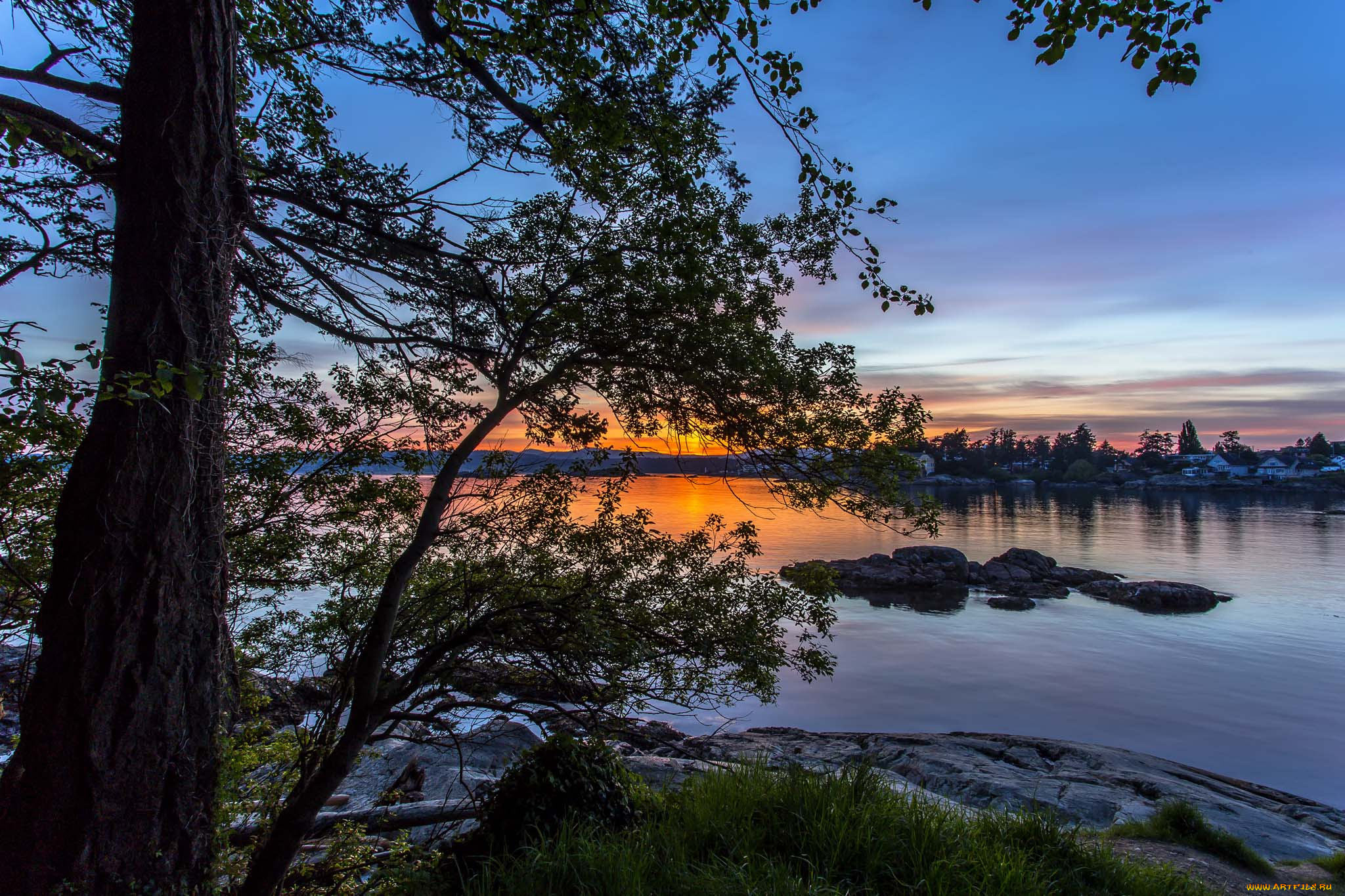 природа, реки, озера, река, лес