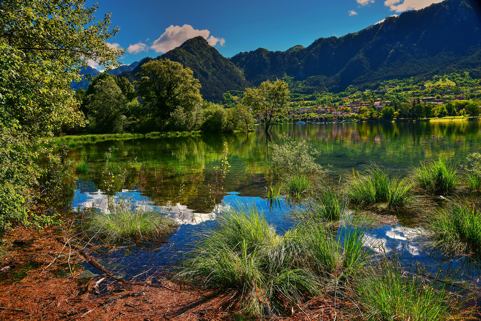 природа, реки, озера, река, лес