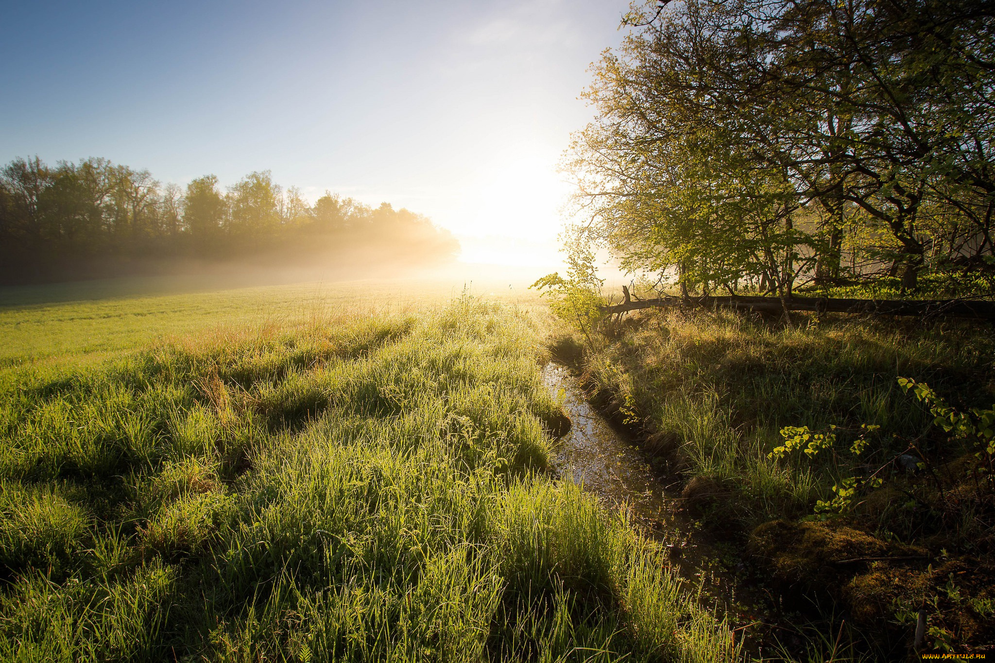 природа, восходы, закаты, ruissalo, finland, утро, turku, proper, финляндия, рассвет