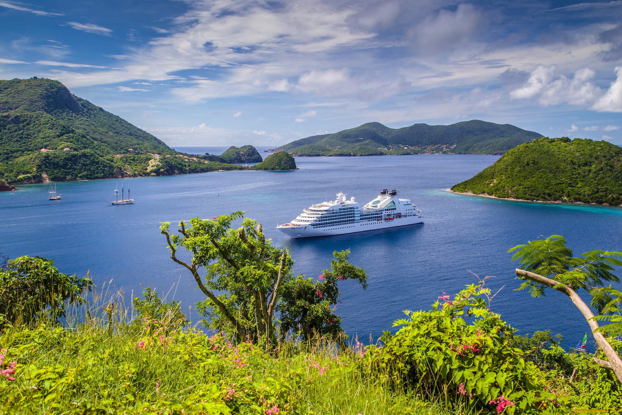 корабли, лайнеры, лайнер, круиз