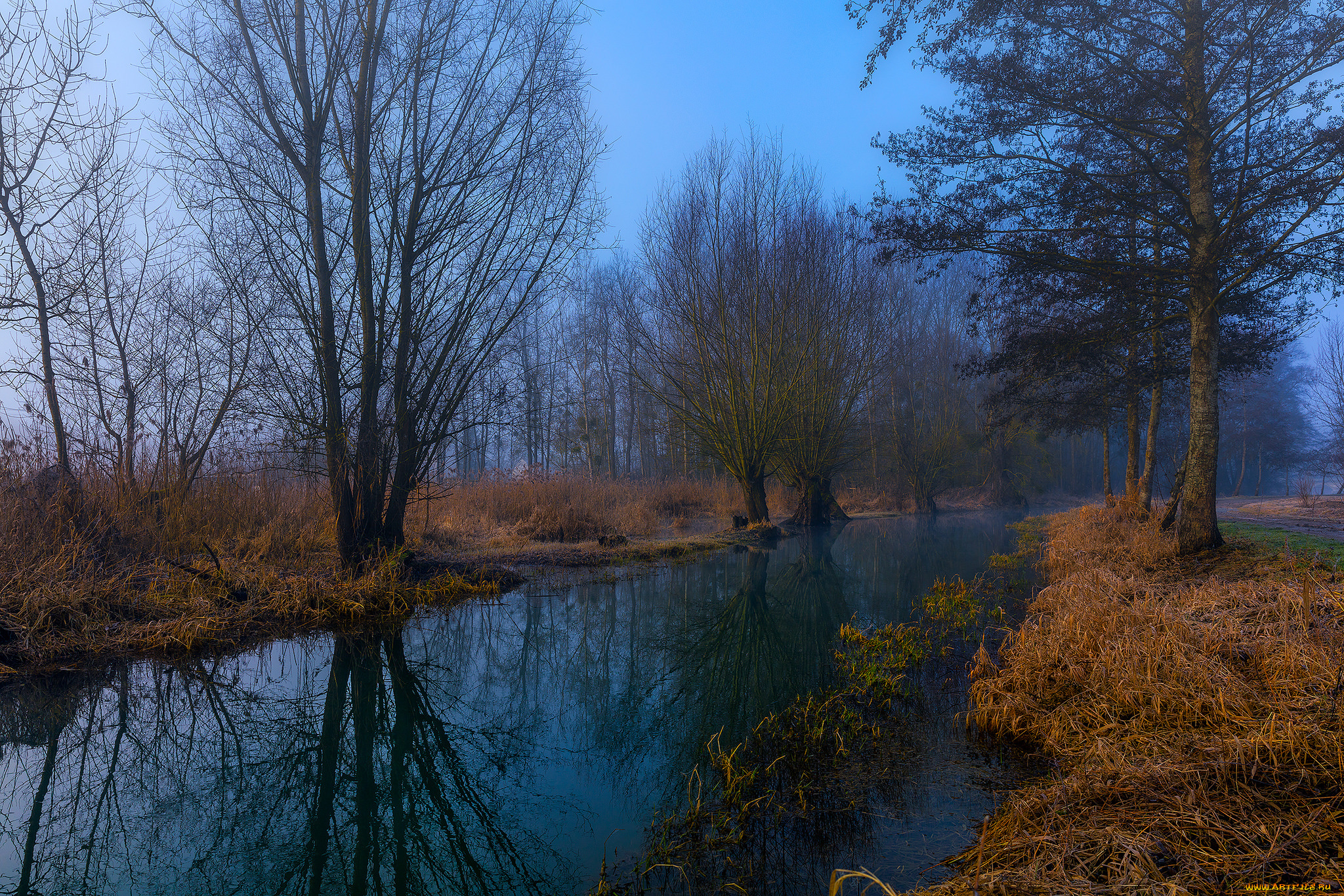 природа, реки, озера, лес, река