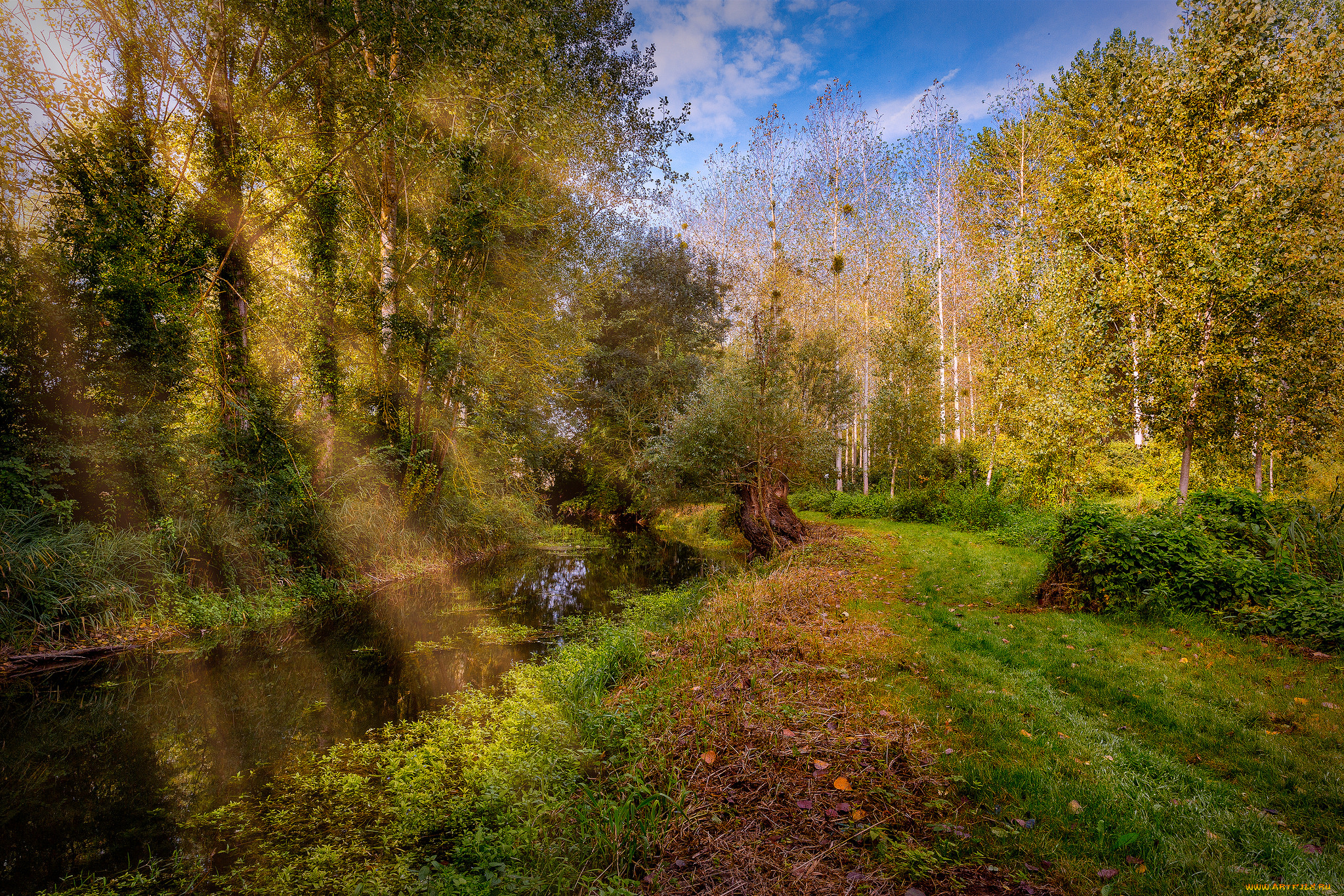 природа, реки, озера, река, лес