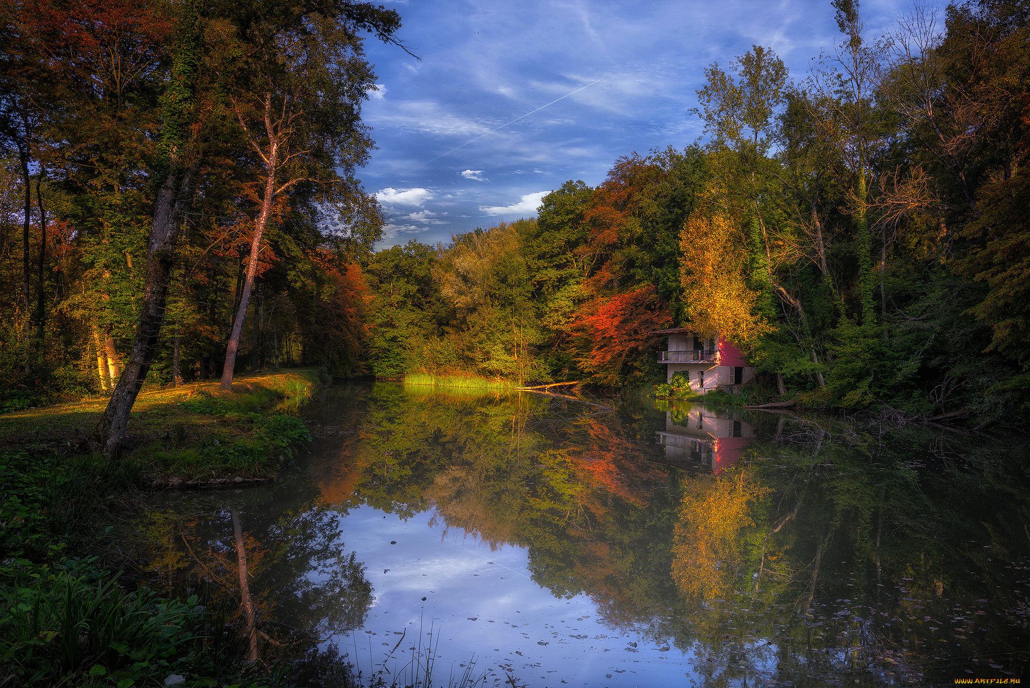 природа, реки, озера, река, лес