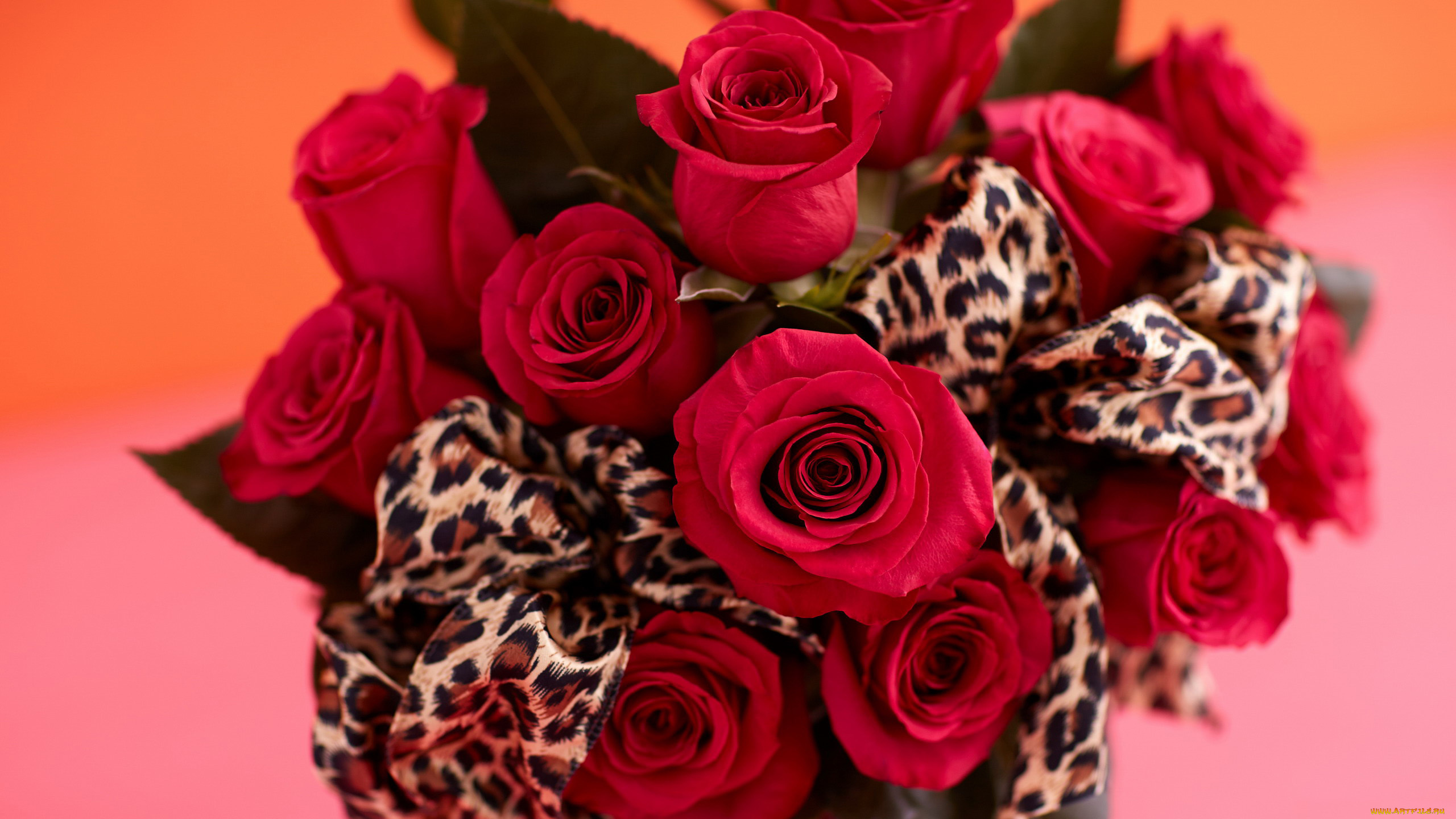 цветы, розы, бутоны, лента, букет