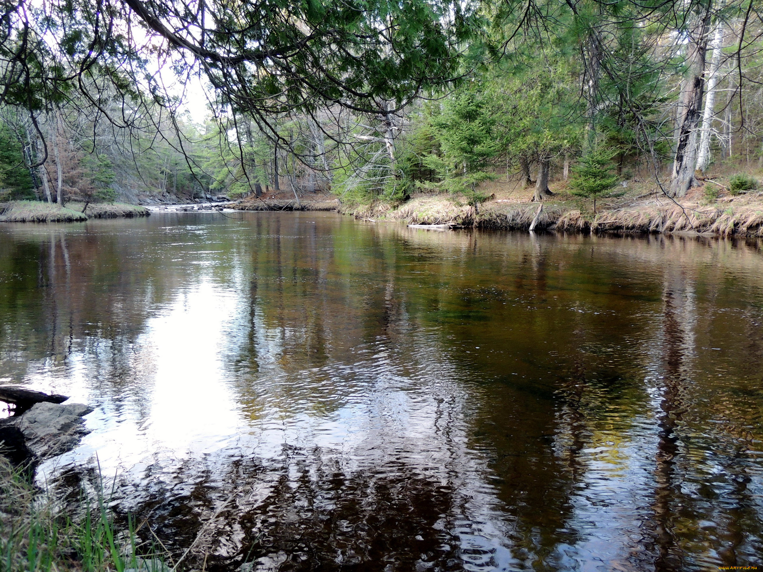 природа, реки, озера, отражение, река, вода