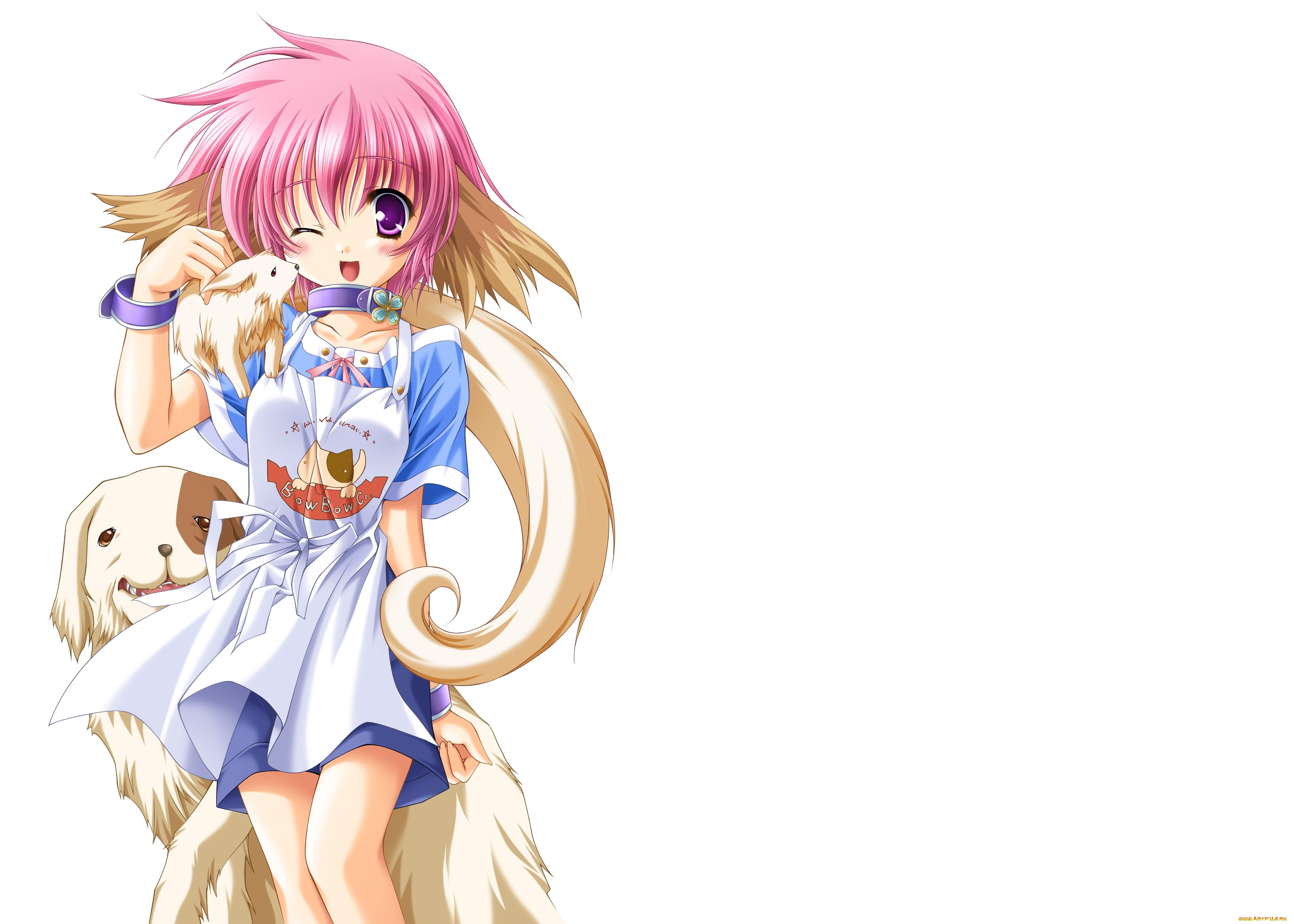 аниме, животные, , существа, фон, девушка, взгляд