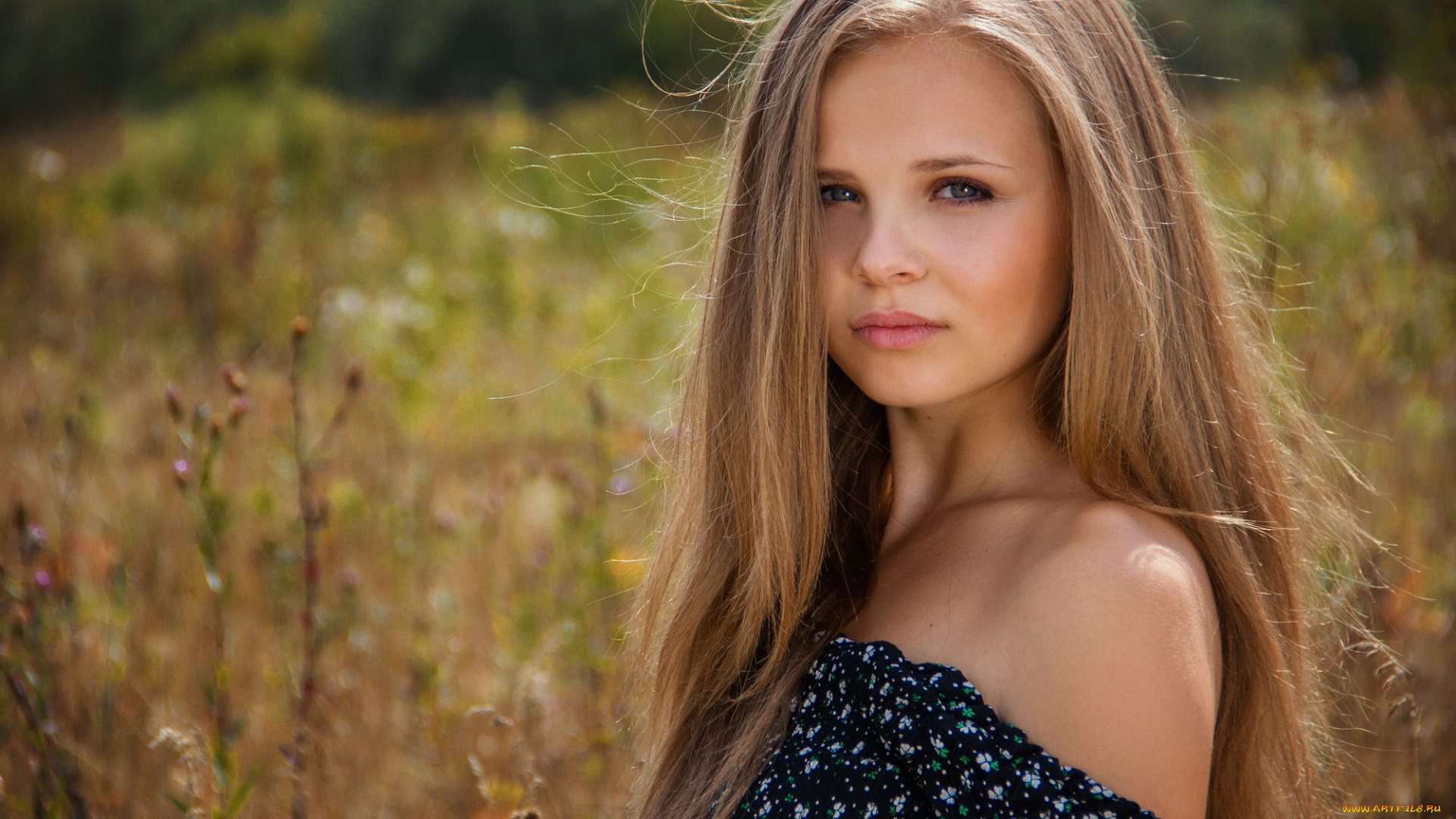 девушка, девушки, -unsort, , блондинки, , светловолосые, модель