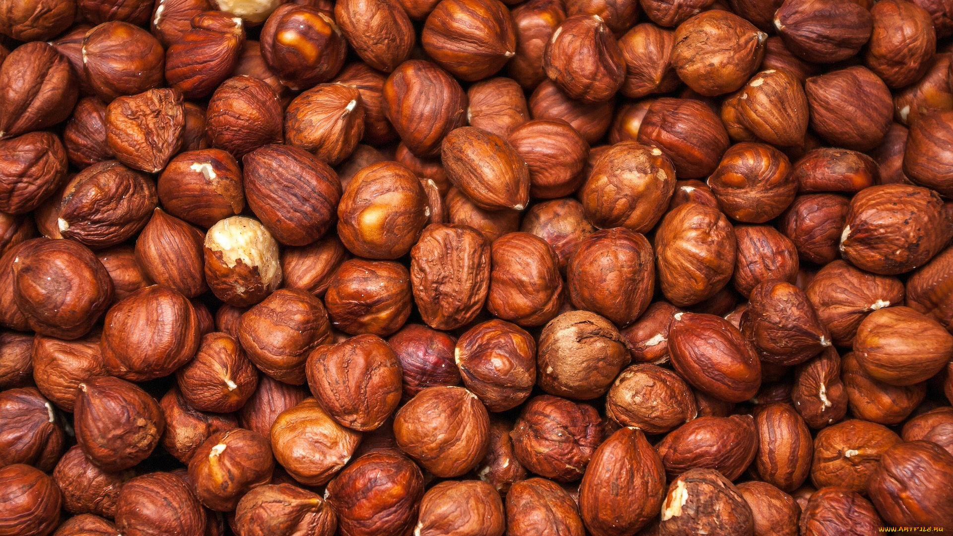еда, орехи, , каштаны, , какао-бобы, фундук