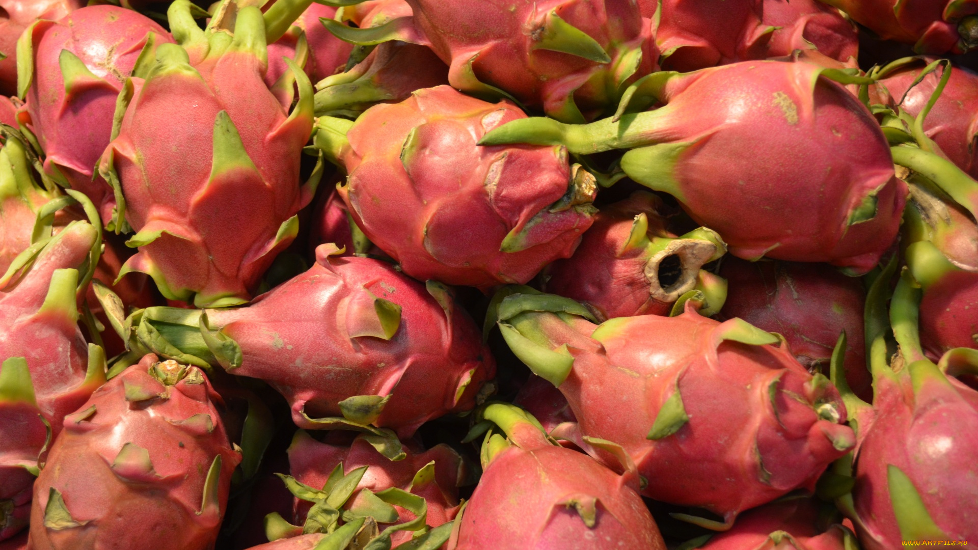 еда, питахайя, dragon, fruit