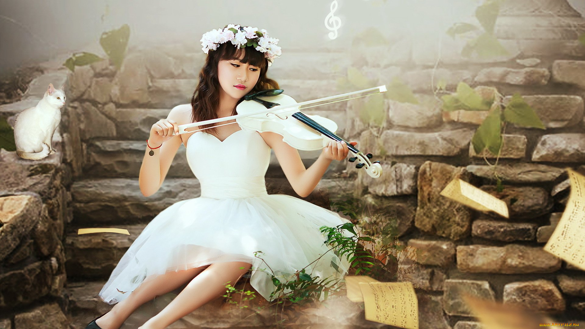 музыка, -другое, девушка, кошка, венок, скрипка, ноты