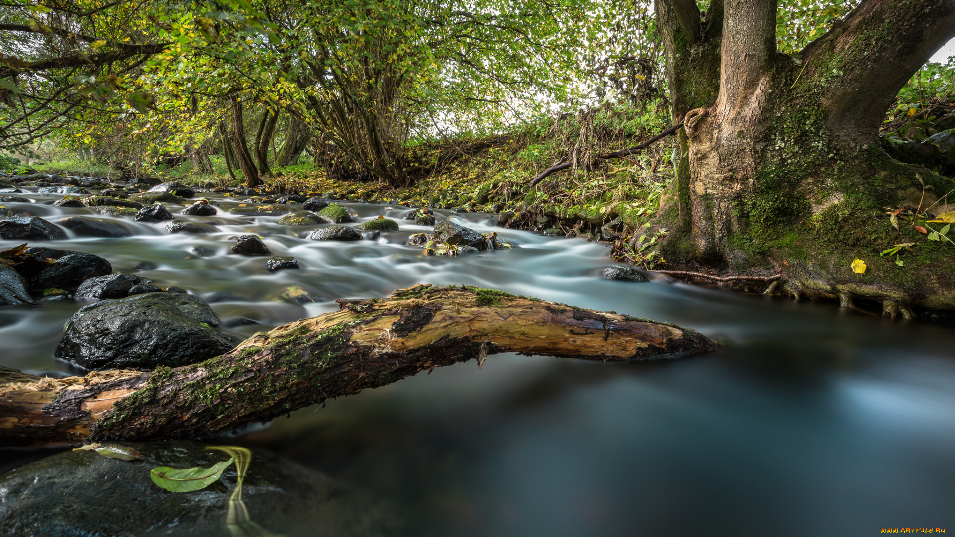 природа, реки, озера, простор