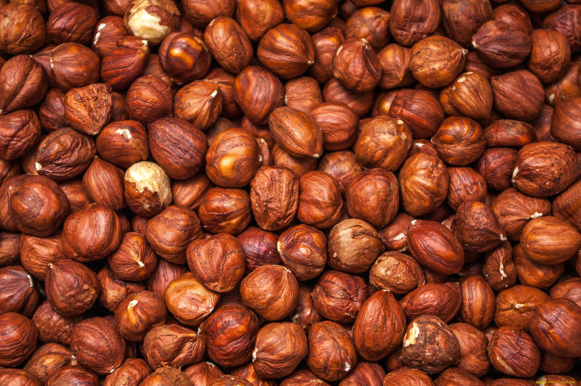 еда, орехи, , каштаны, , какао-бобы, фундук