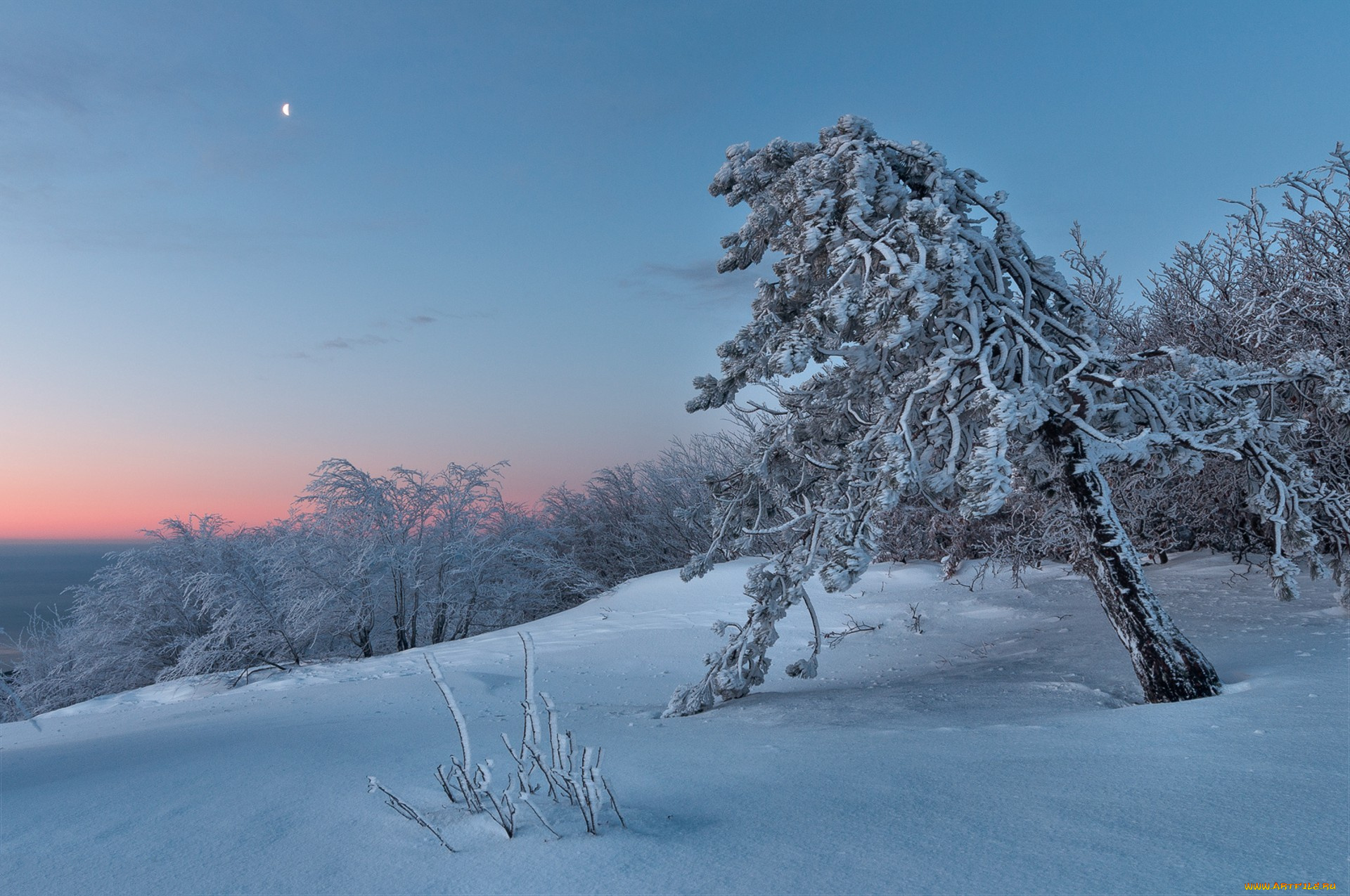 природа, зима, простор