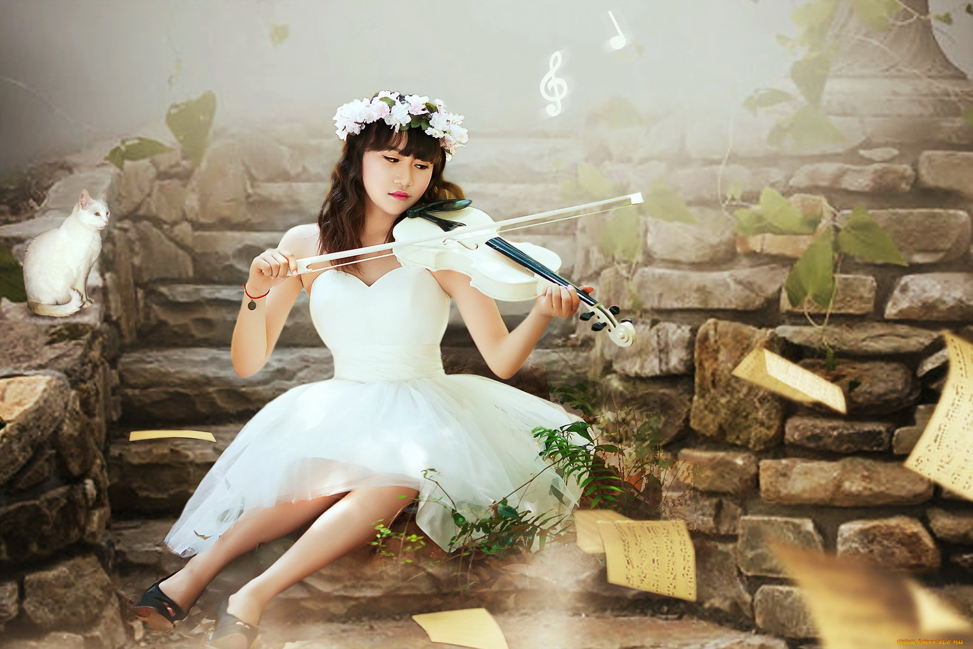 музыка, -другое, девушка, кошка, венок, скрипка, ноты