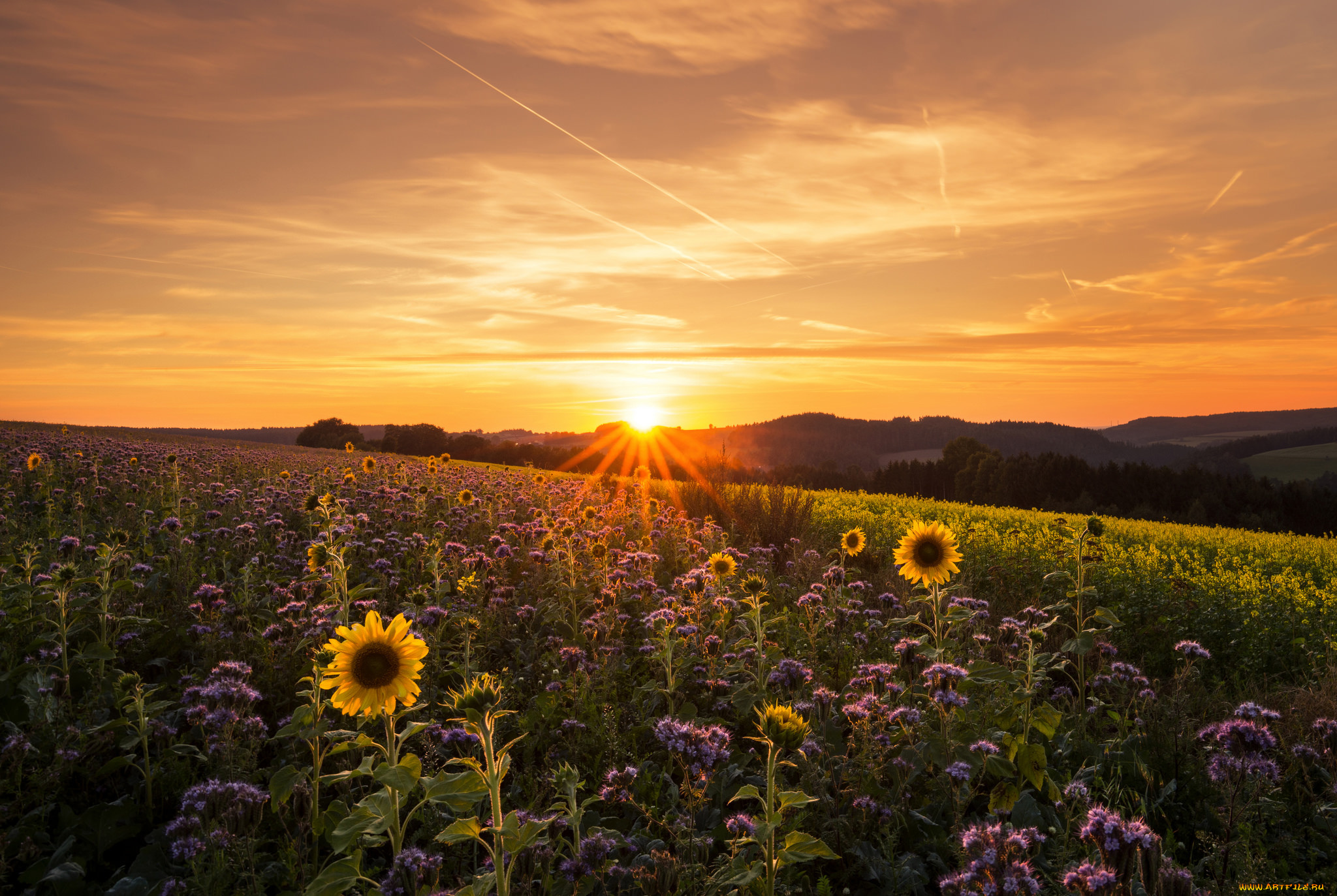 природа, восходы, закаты, простор