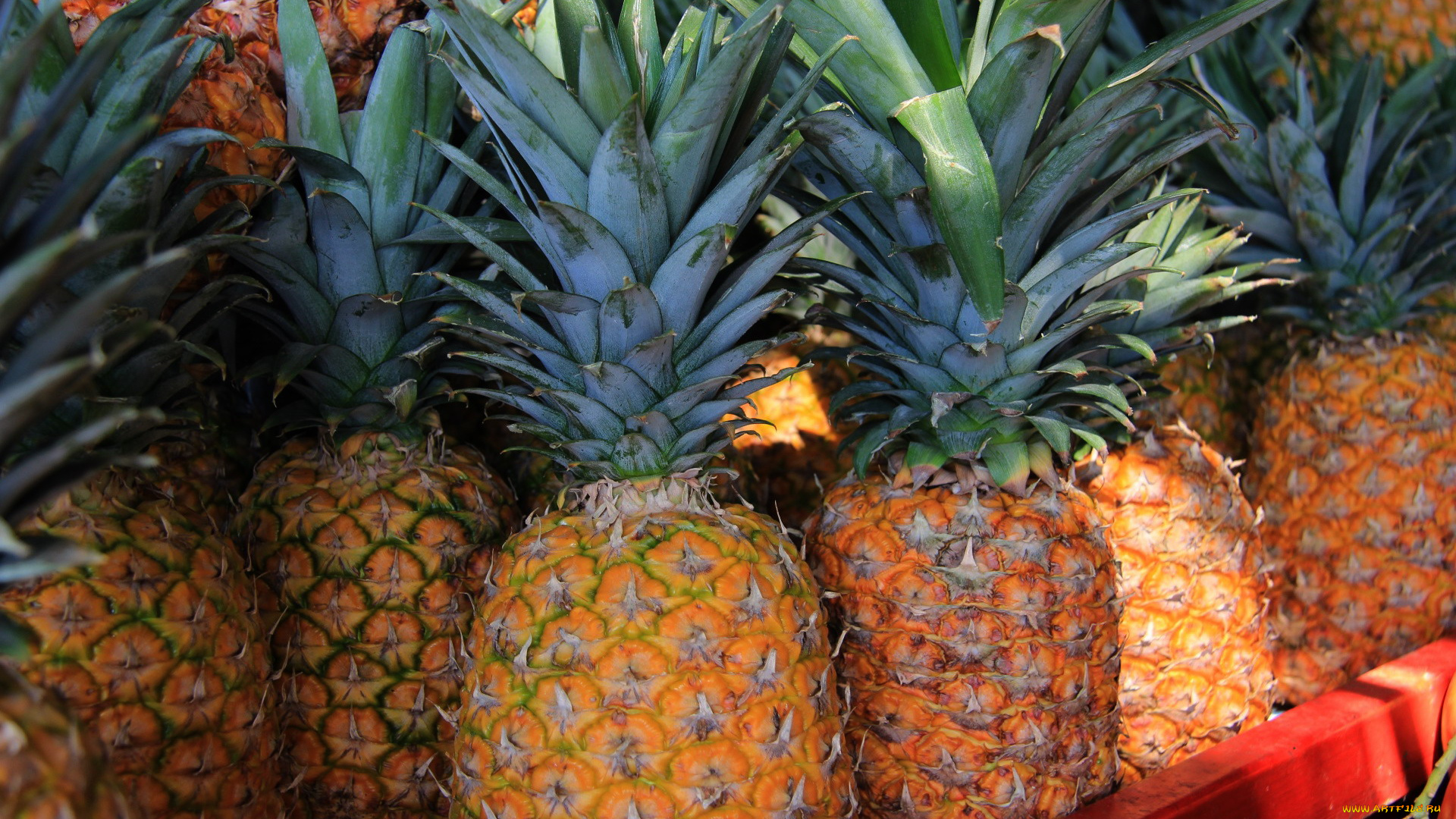 еда, ананас, много