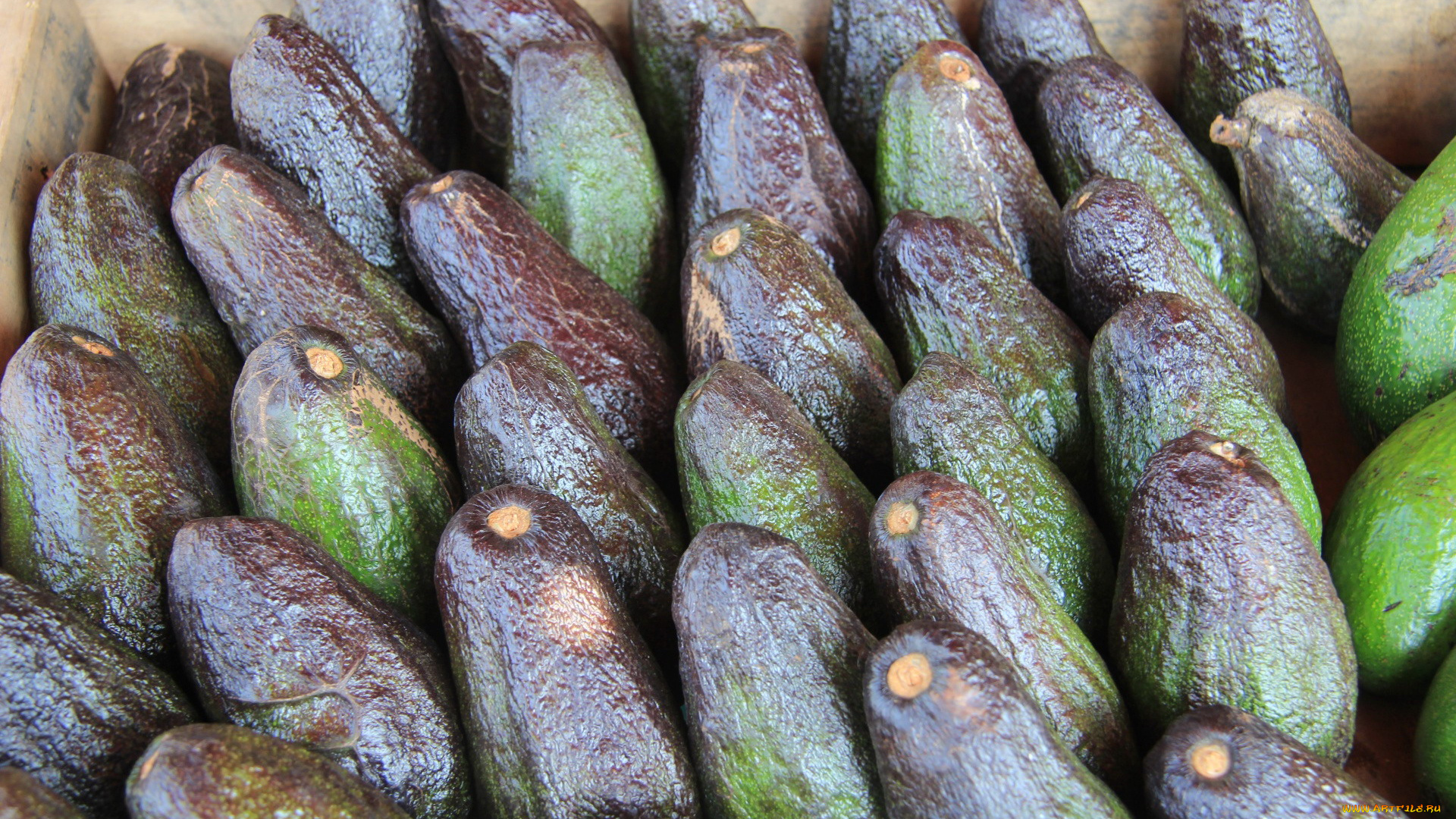 еда, авокадо, много