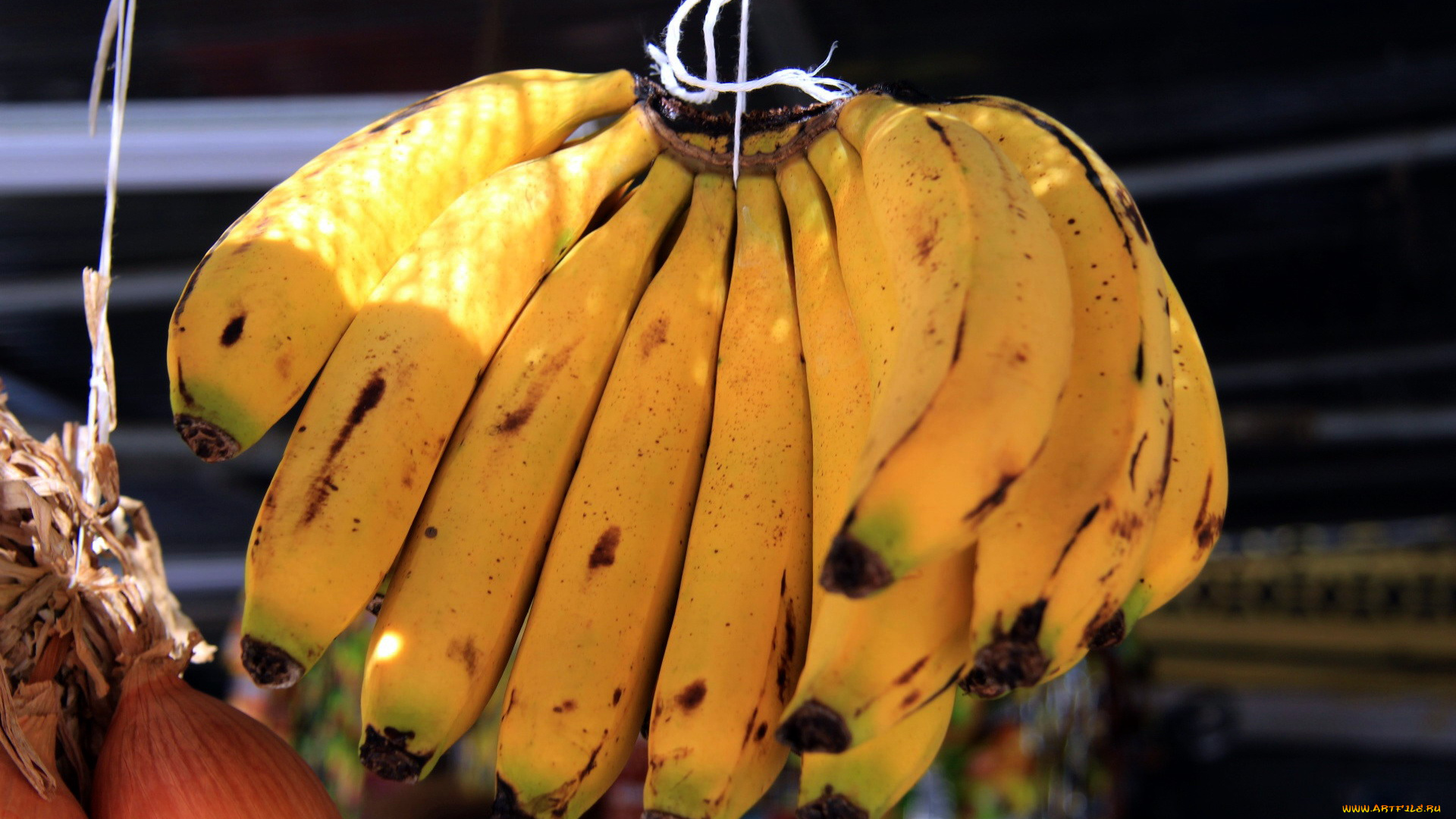 еда, бананы, связка