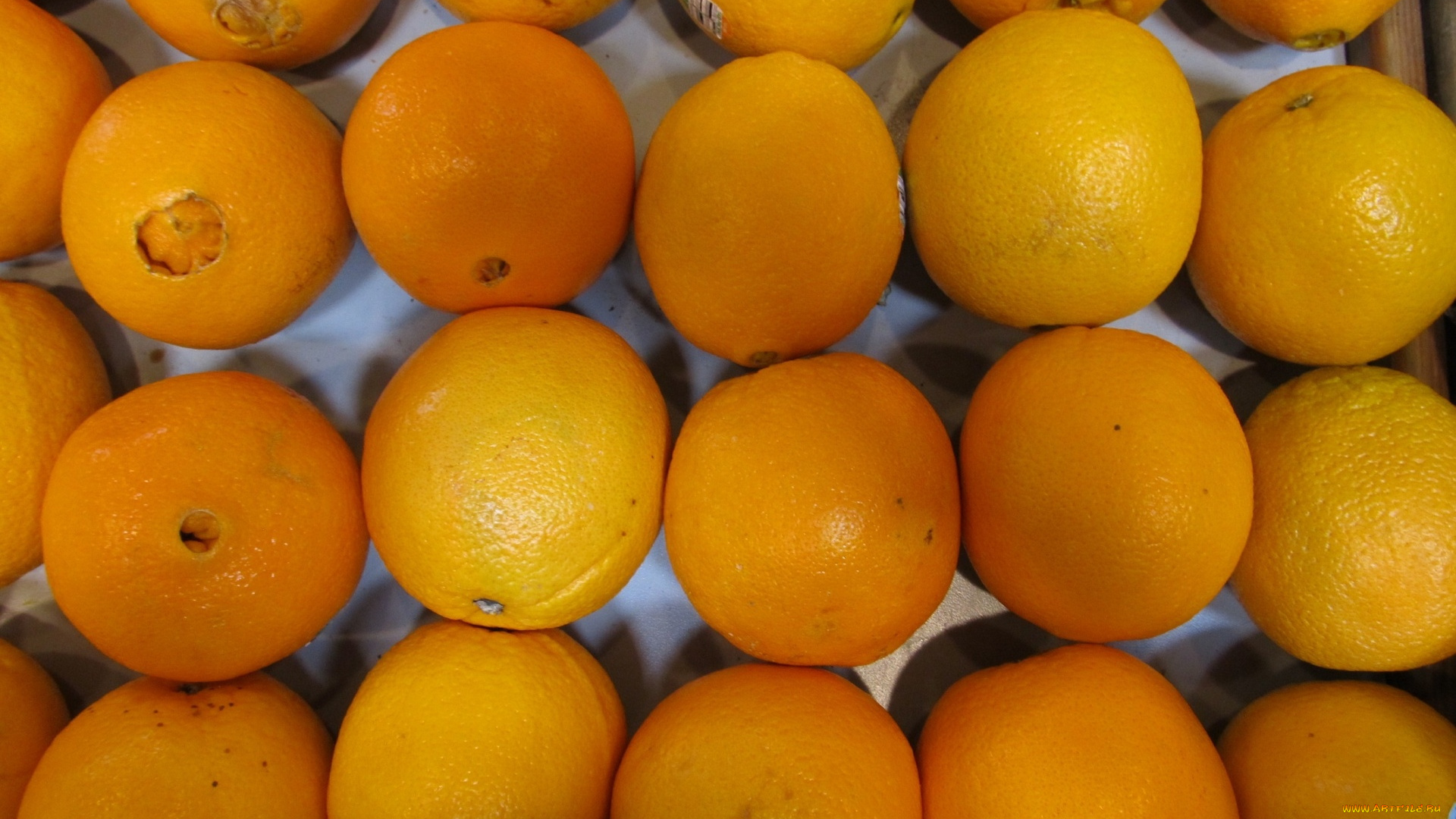 еда, цитрусы, лимоны