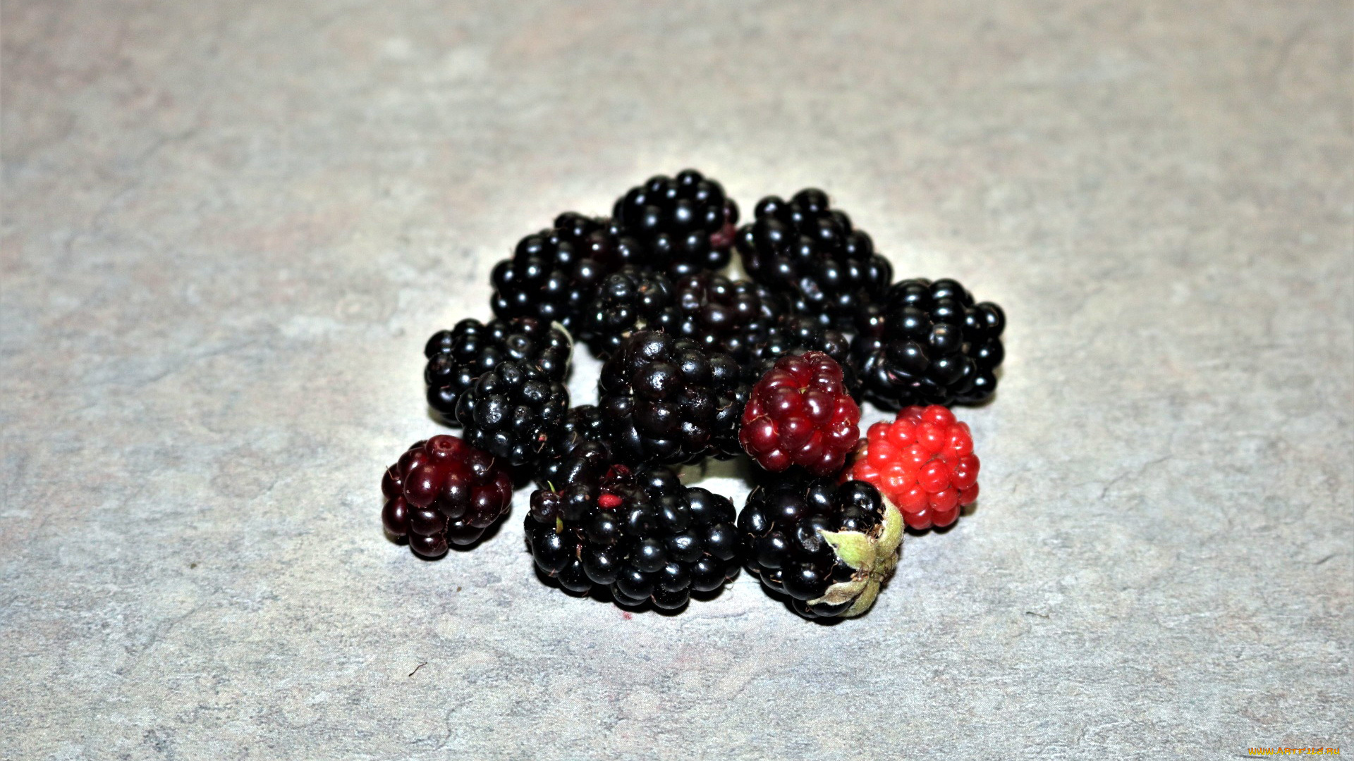 еда, ежевика