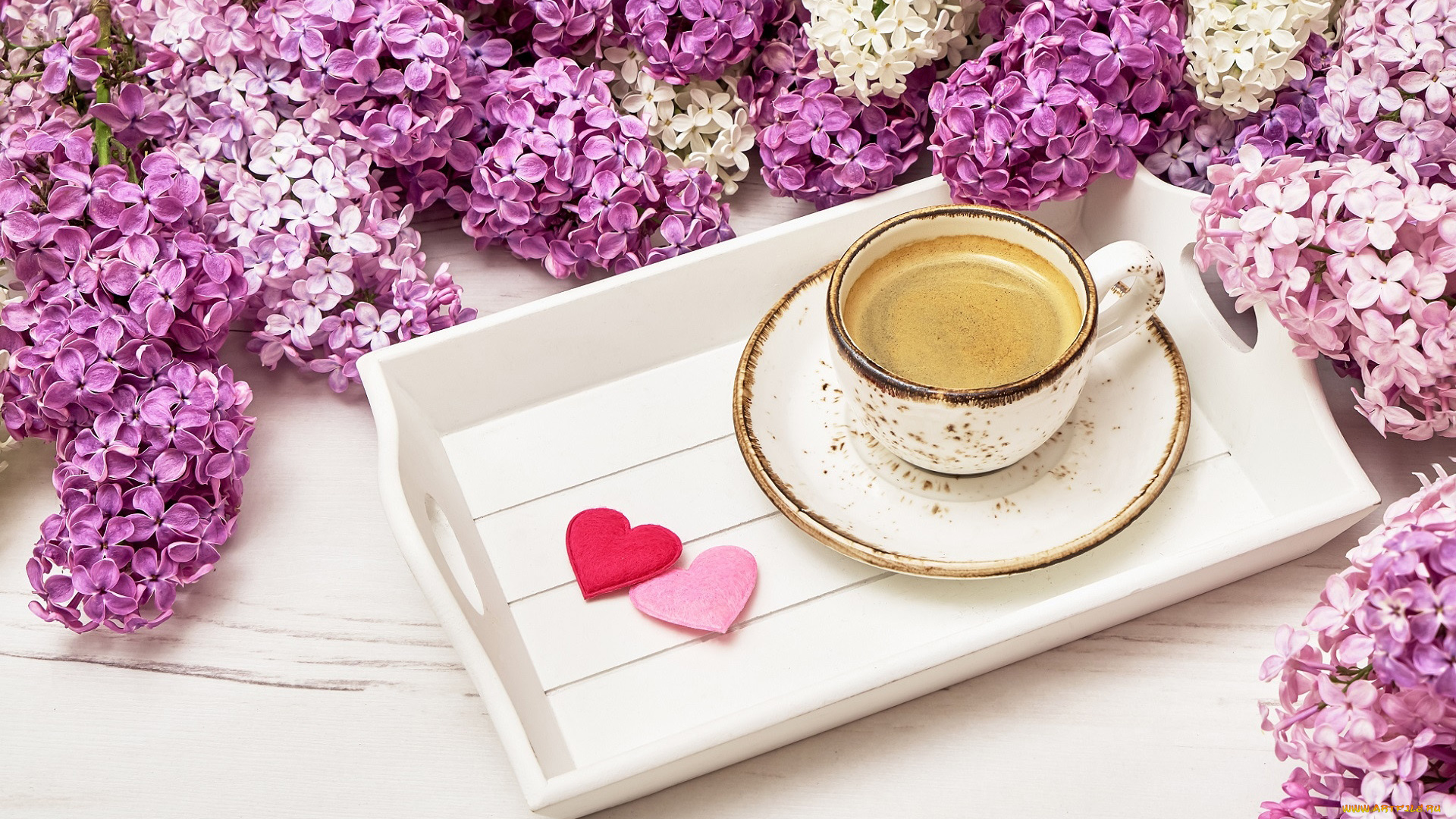 еда, кофе, , кофейные, зёрна, сердечки, сирень