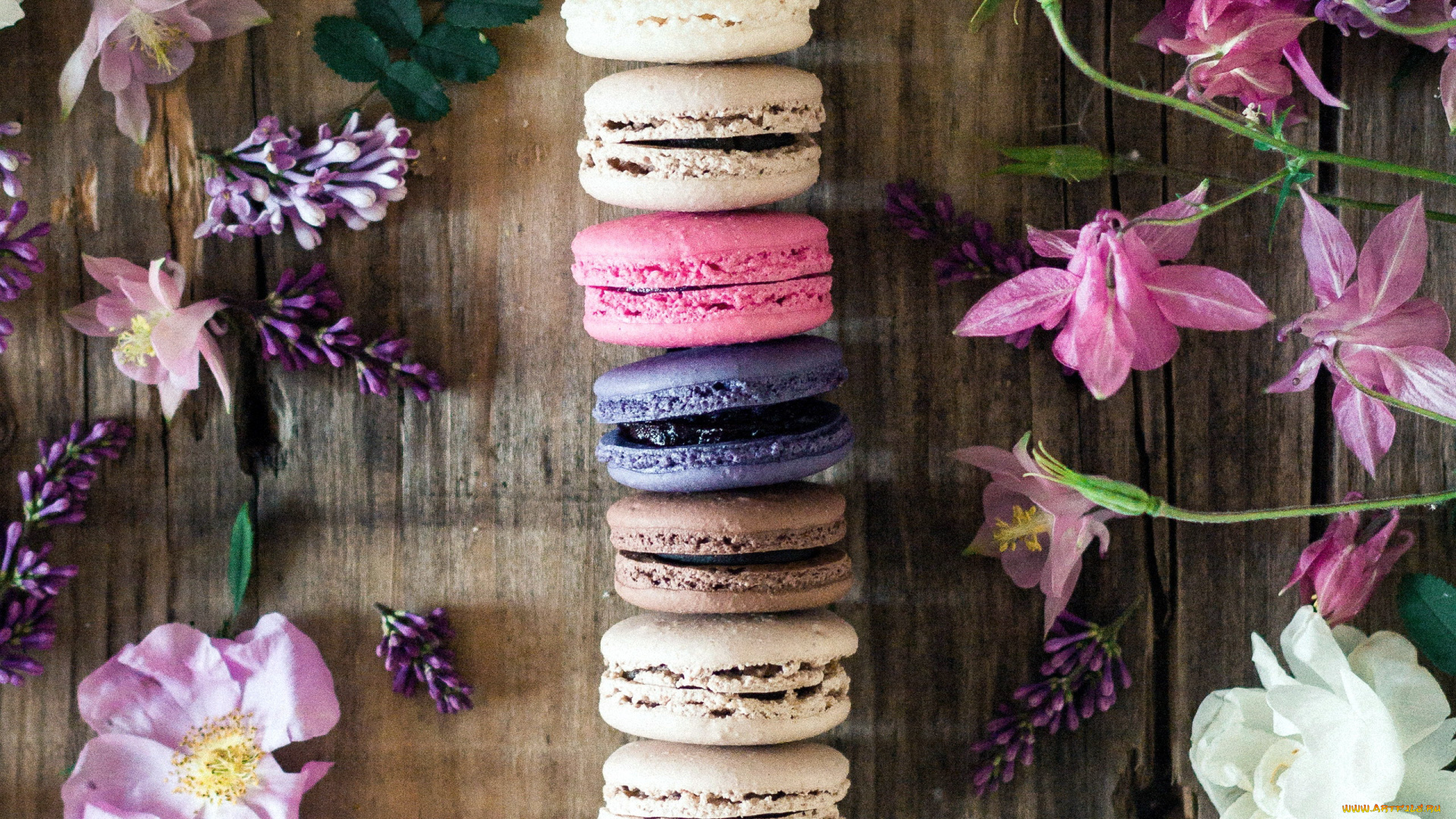 еда, макаруны, сирень, аквилегия, лакомство